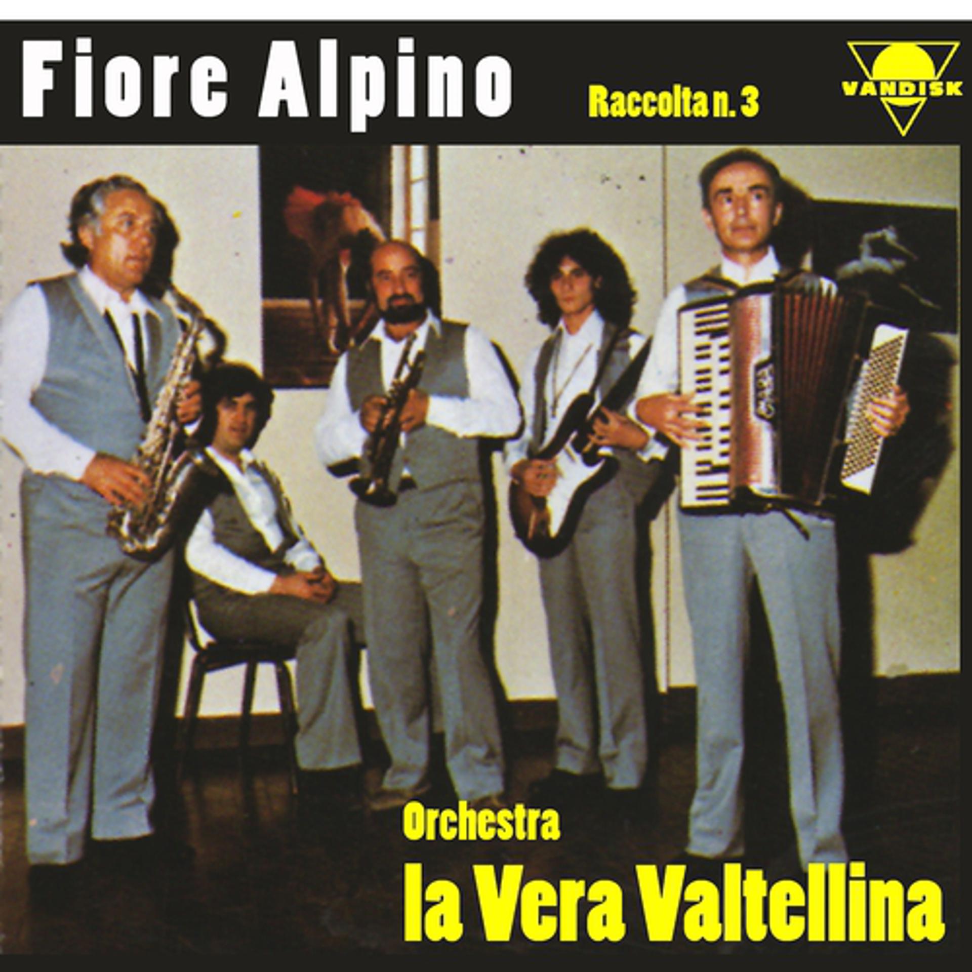 Постер альбома La vera Valtellina, Vol. 3