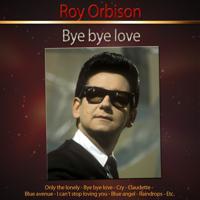Постер альбома Bye Bye Love