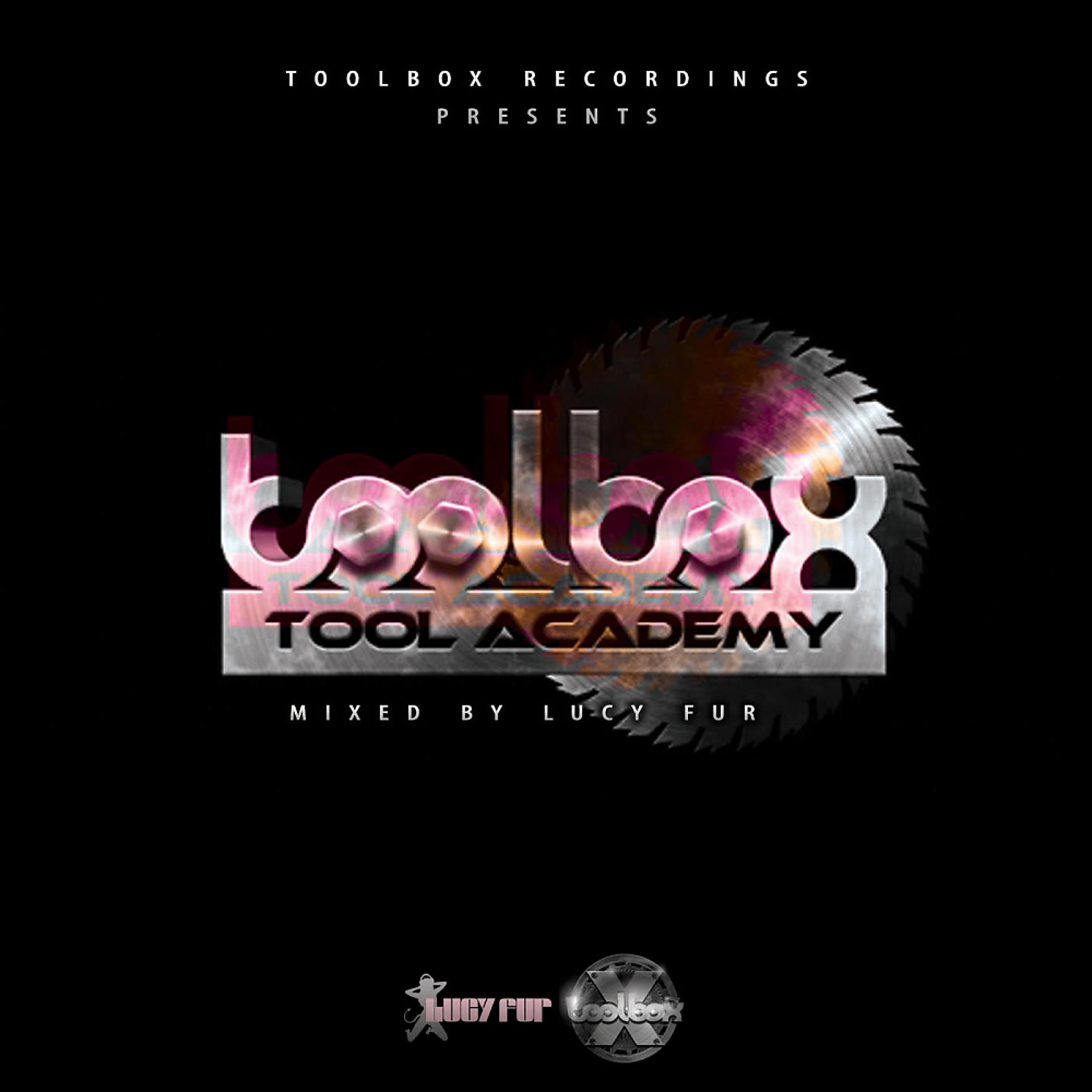 Постер альбома Tool Academy, Vol. 2 (Mixed by Lucy Fur)