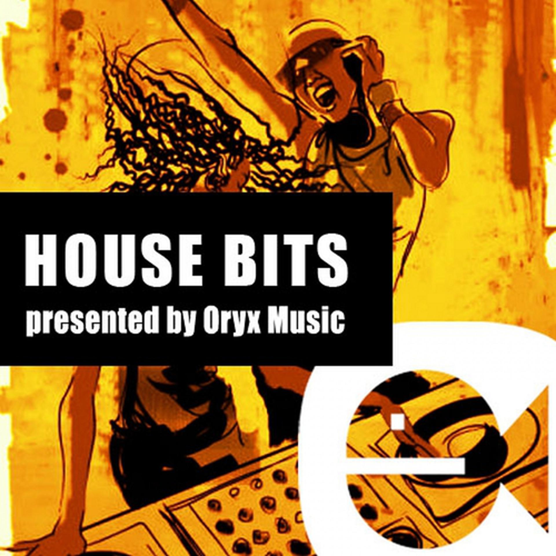 Постер альбома House Bits, Vol 2.1