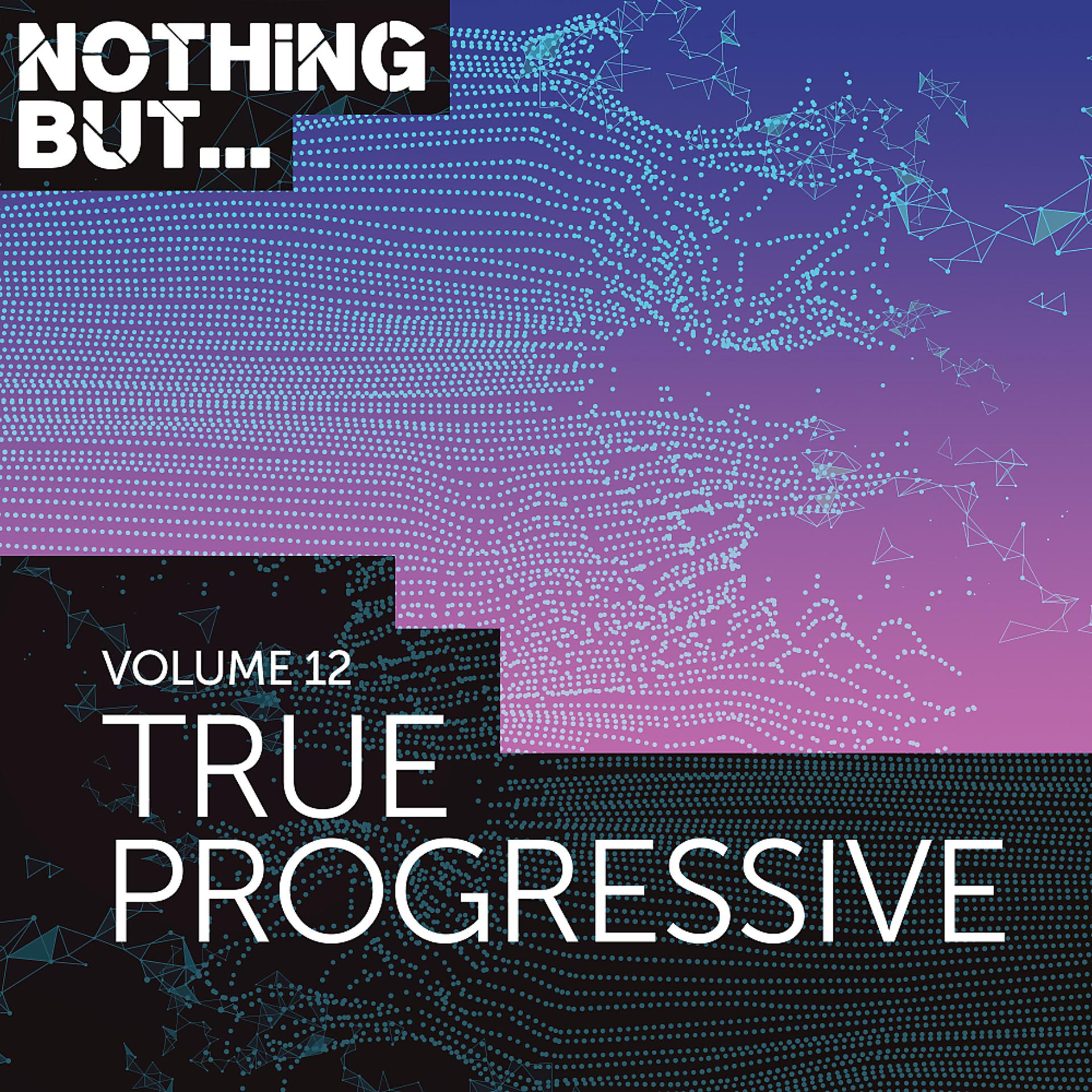 Постер альбома Nothing But... True Progressive, Vol. 12
