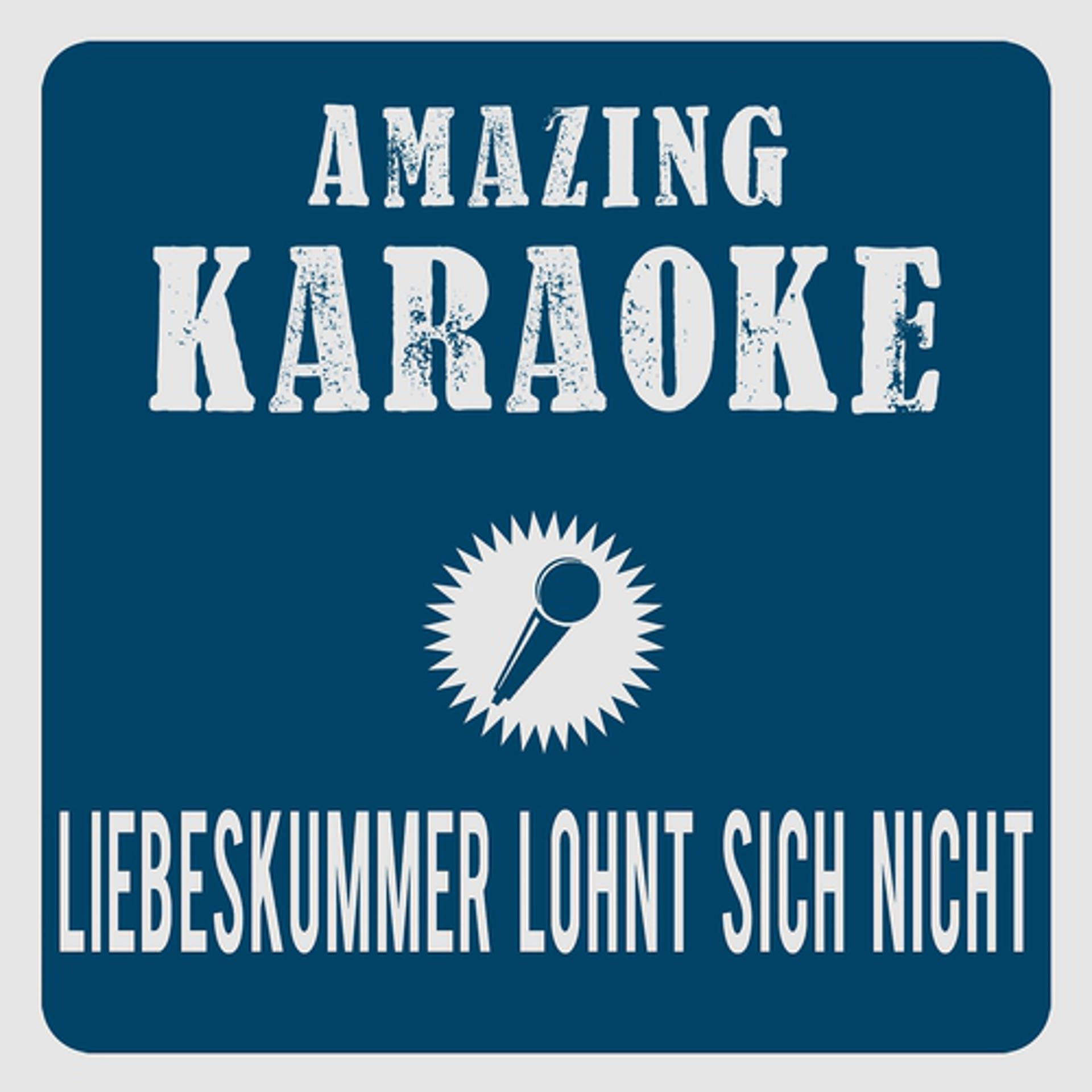 Постер альбома Liebeskummer lohnt sich nicht (Karaoke Version)
