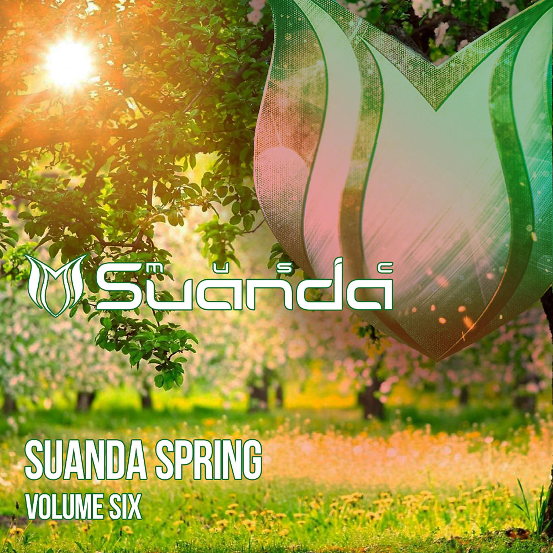Постер альбома Suanda Spring, Vol. 6