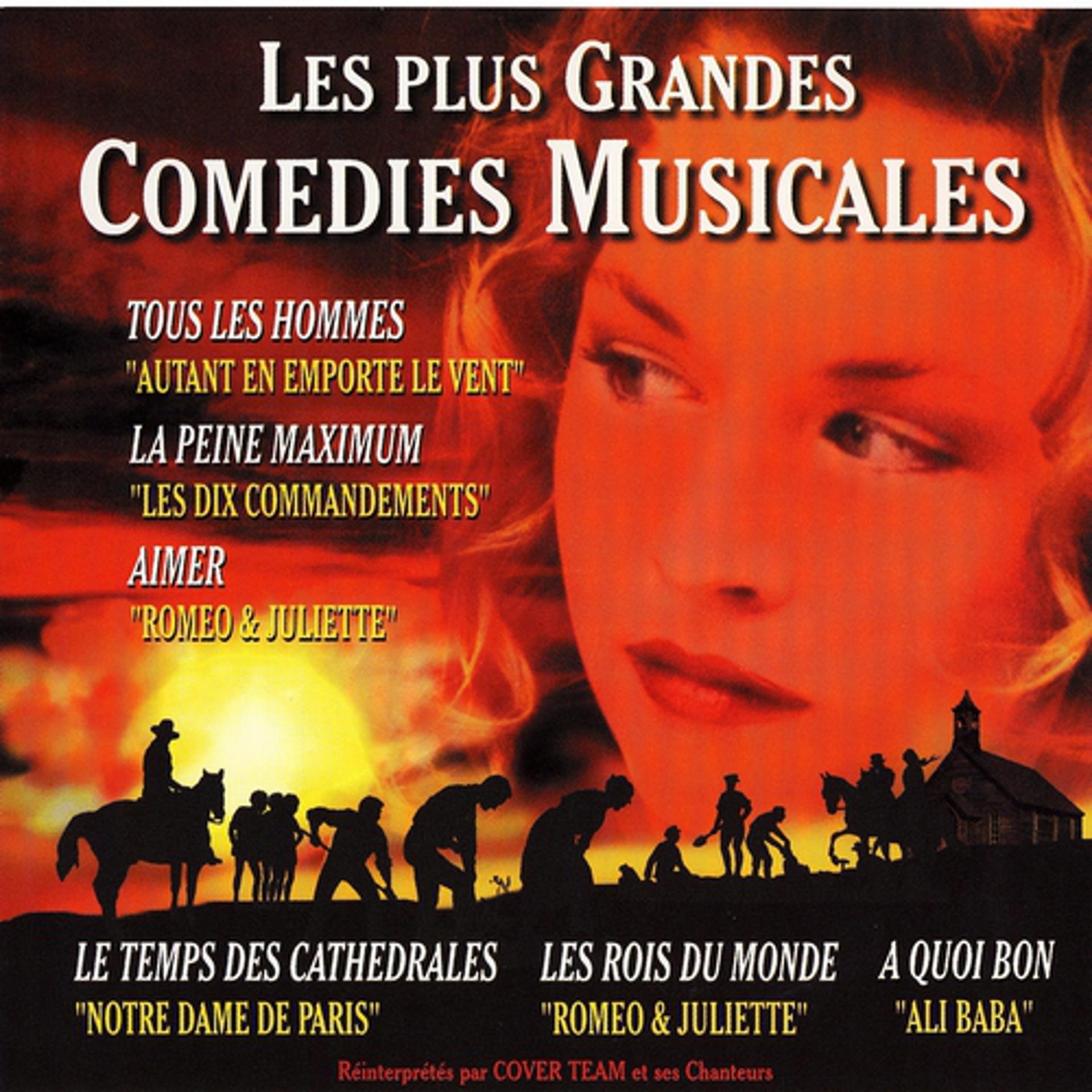 Постер альбома Les plus grandes comédies musicales