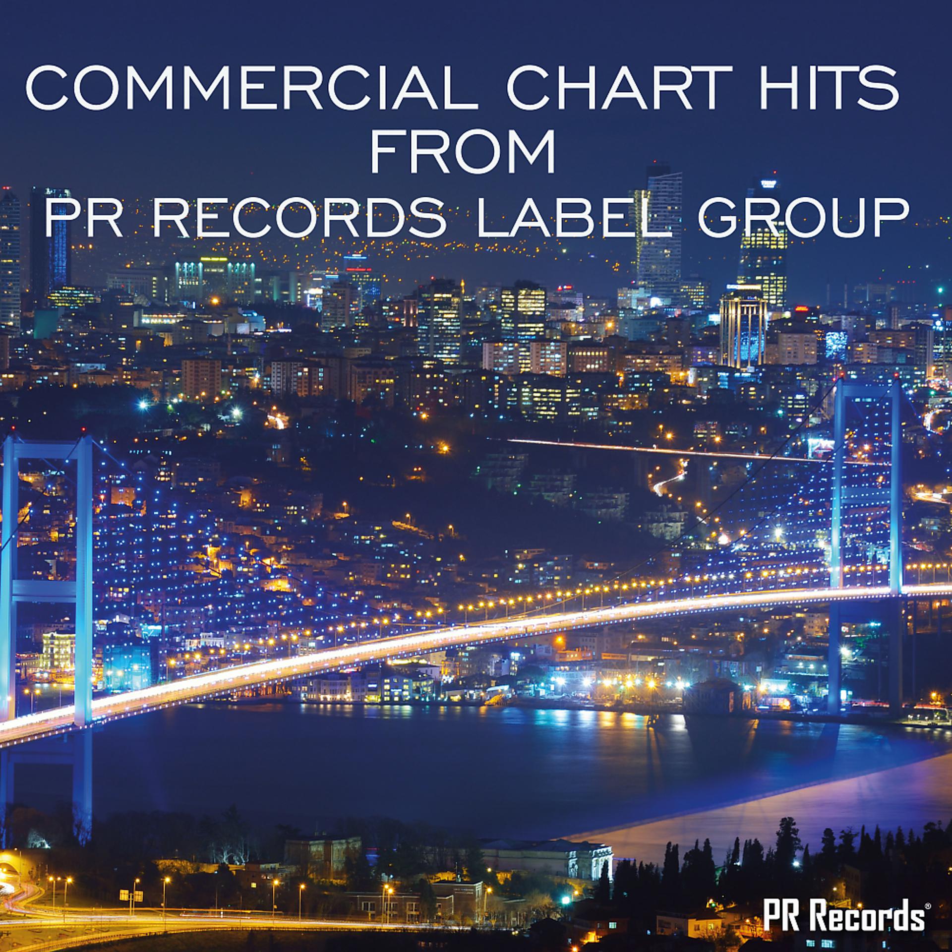 Постер альбома Commercial Chart Hits From PR Records Label Group