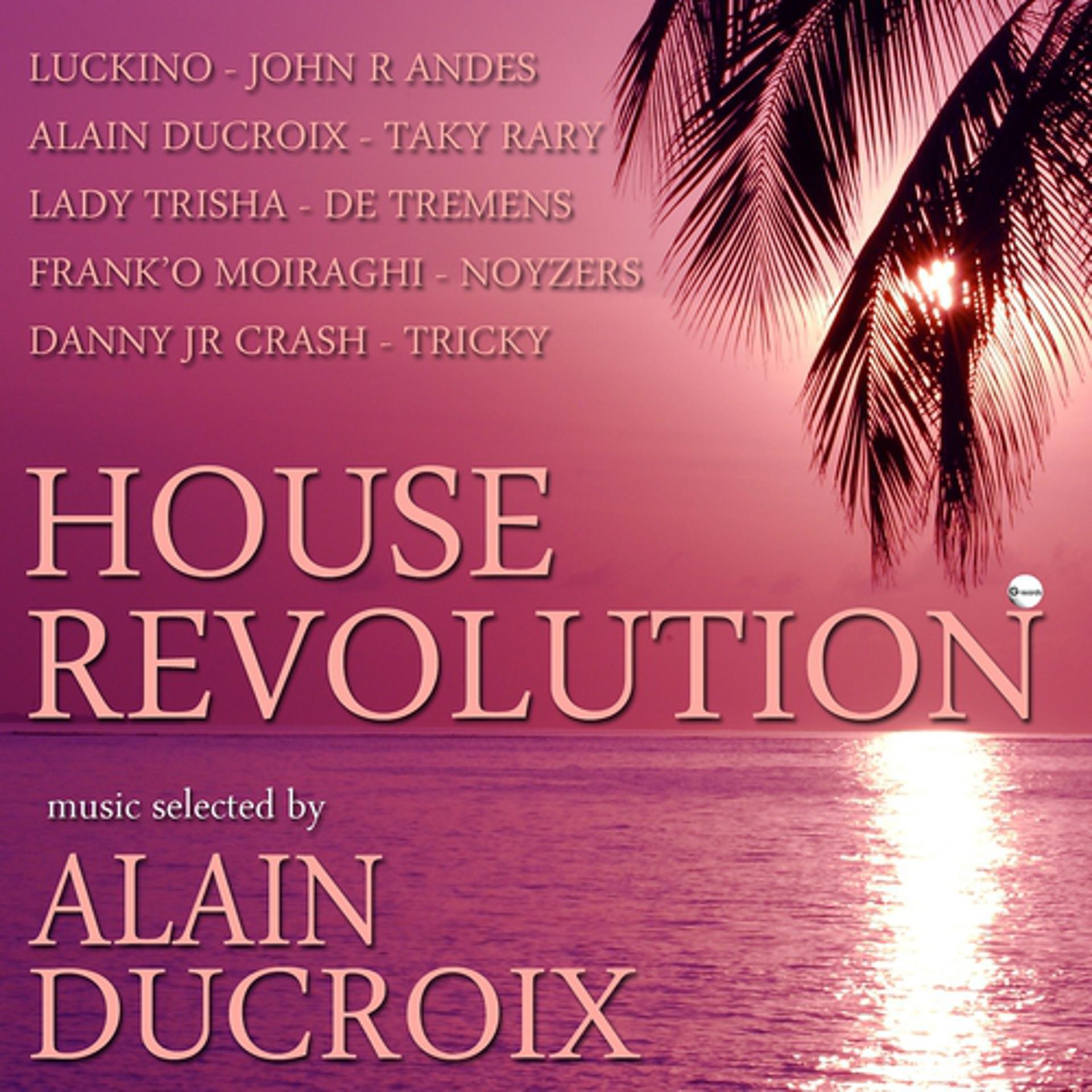 Постер альбома House Revolution, Vol. 01 (Selected By Alain Ducroix)