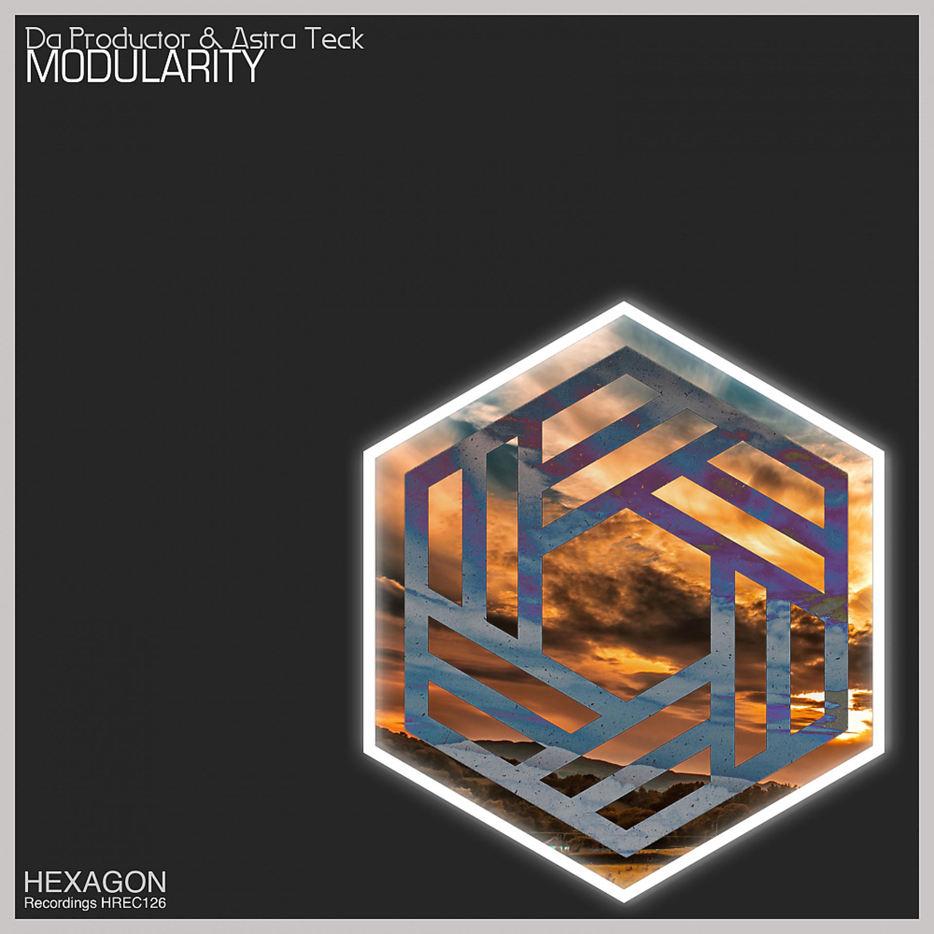 Постер альбома Modularity