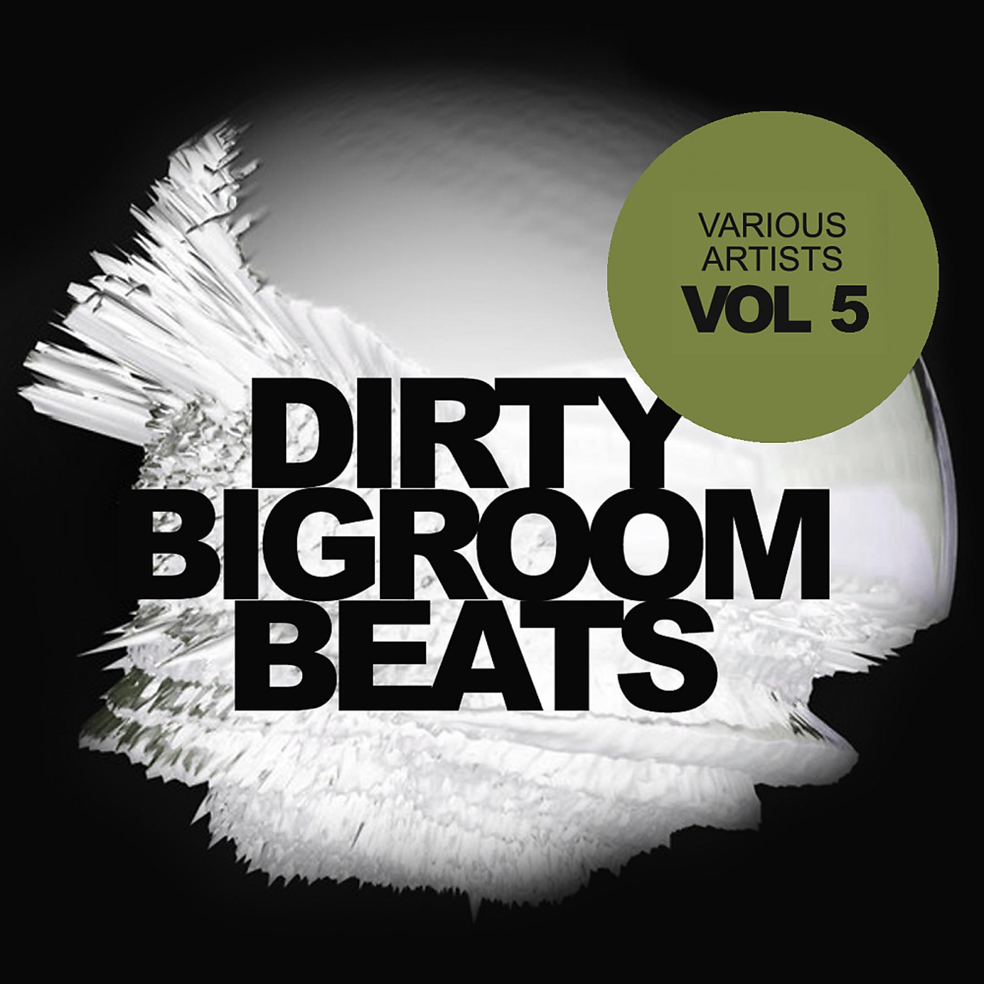 Постер альбома Dirty Bigroom Beats, Vol. 5