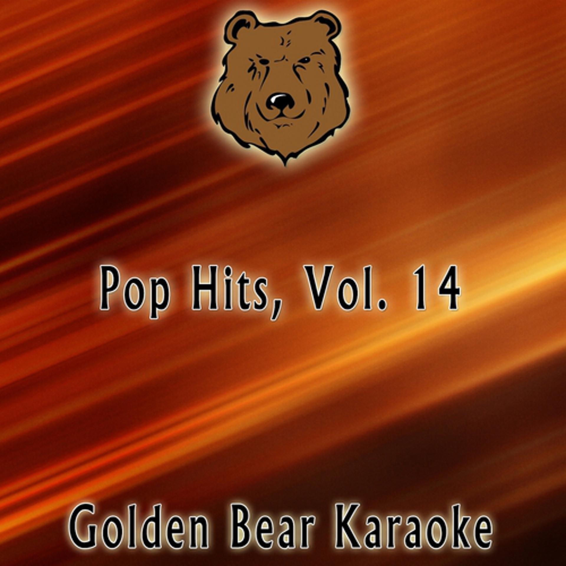 Постер альбома Karaoke Pop Hits, Vol. 14