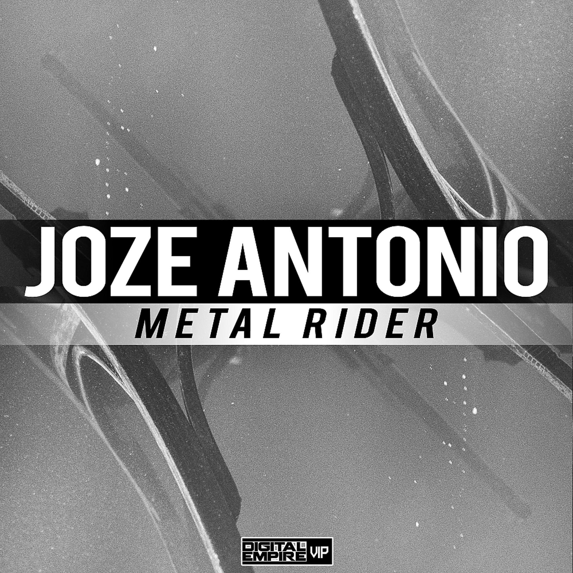 Постер альбома Metal Rider