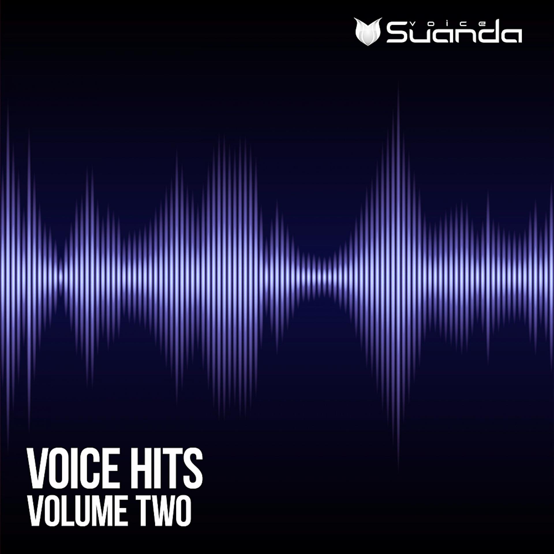 Постер альбома Voice Hits, Vol. 2