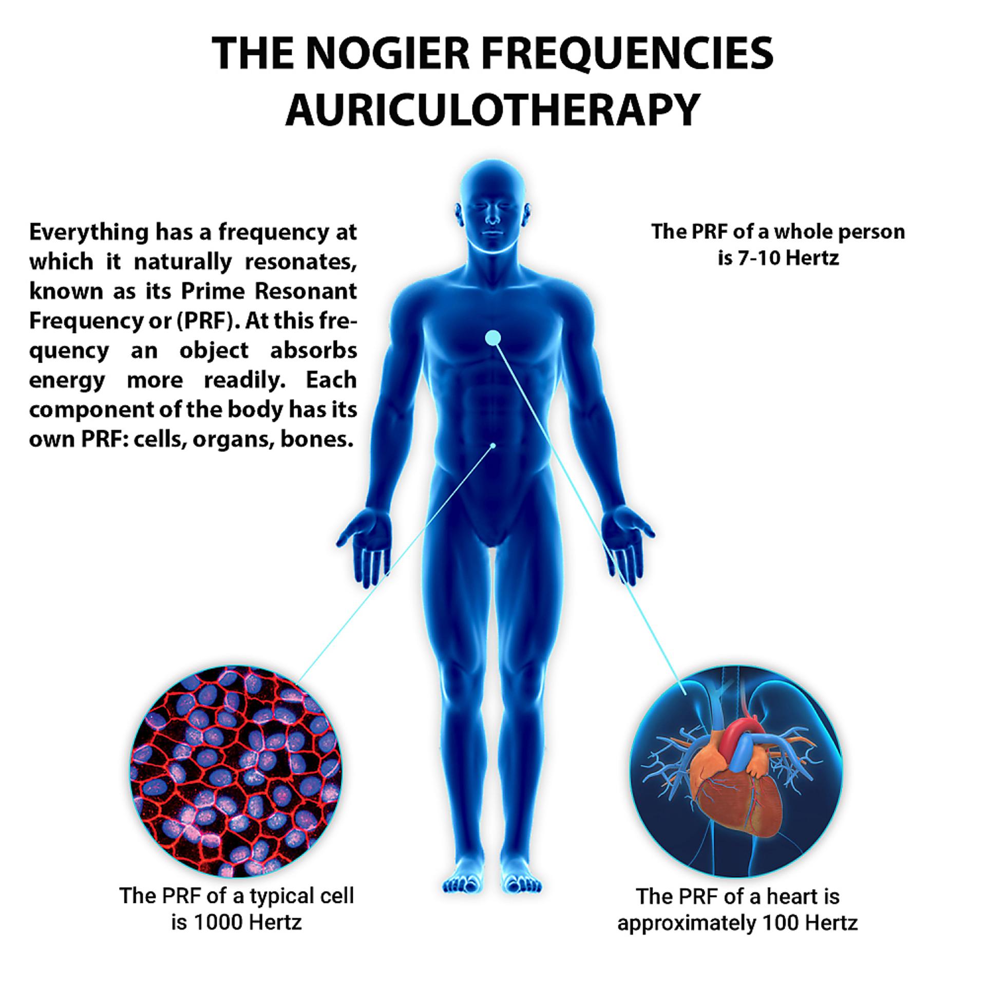 Постер альбома The Nogier Frequencies Auriculotherapy