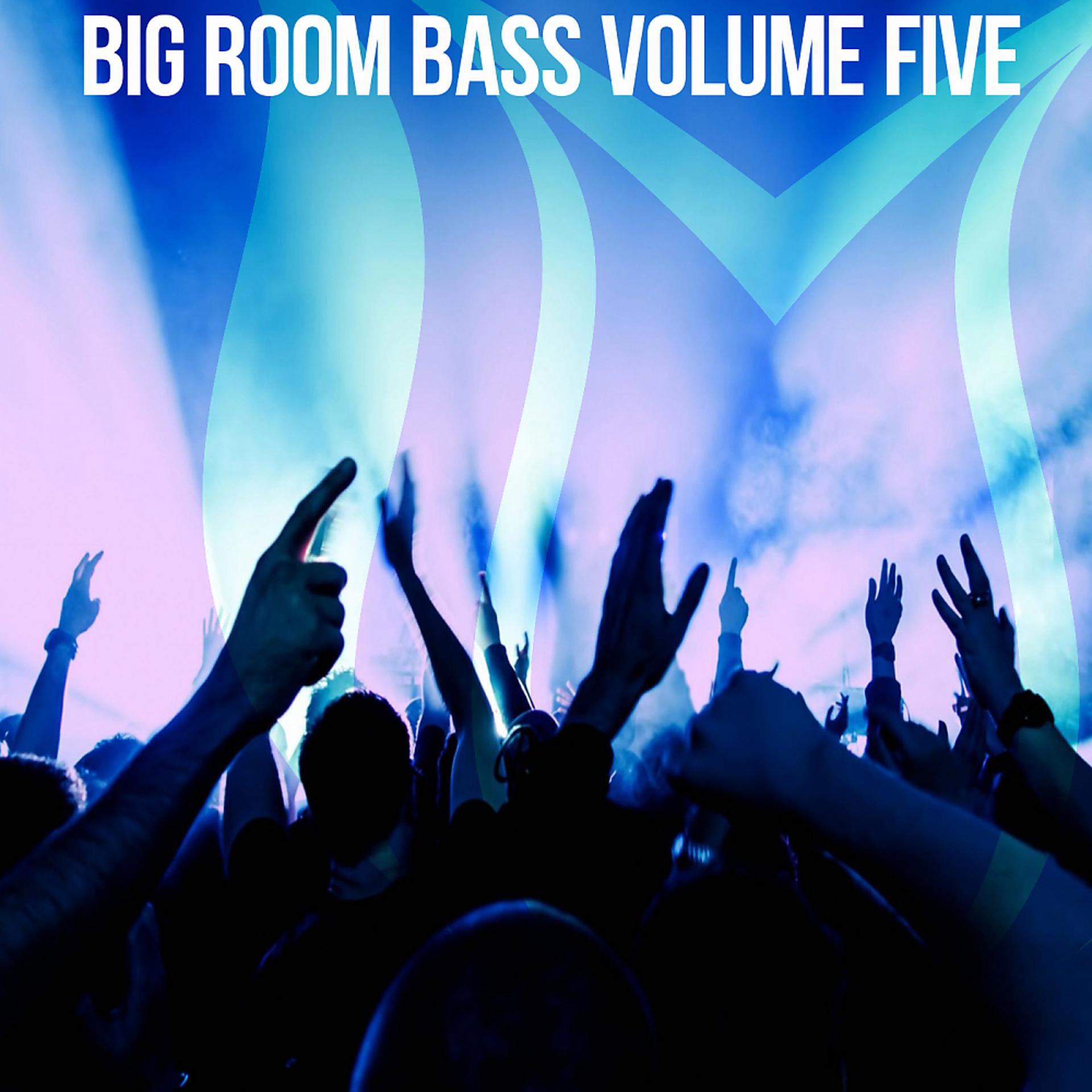 Постер альбома Big Room Bass, Vol. 5