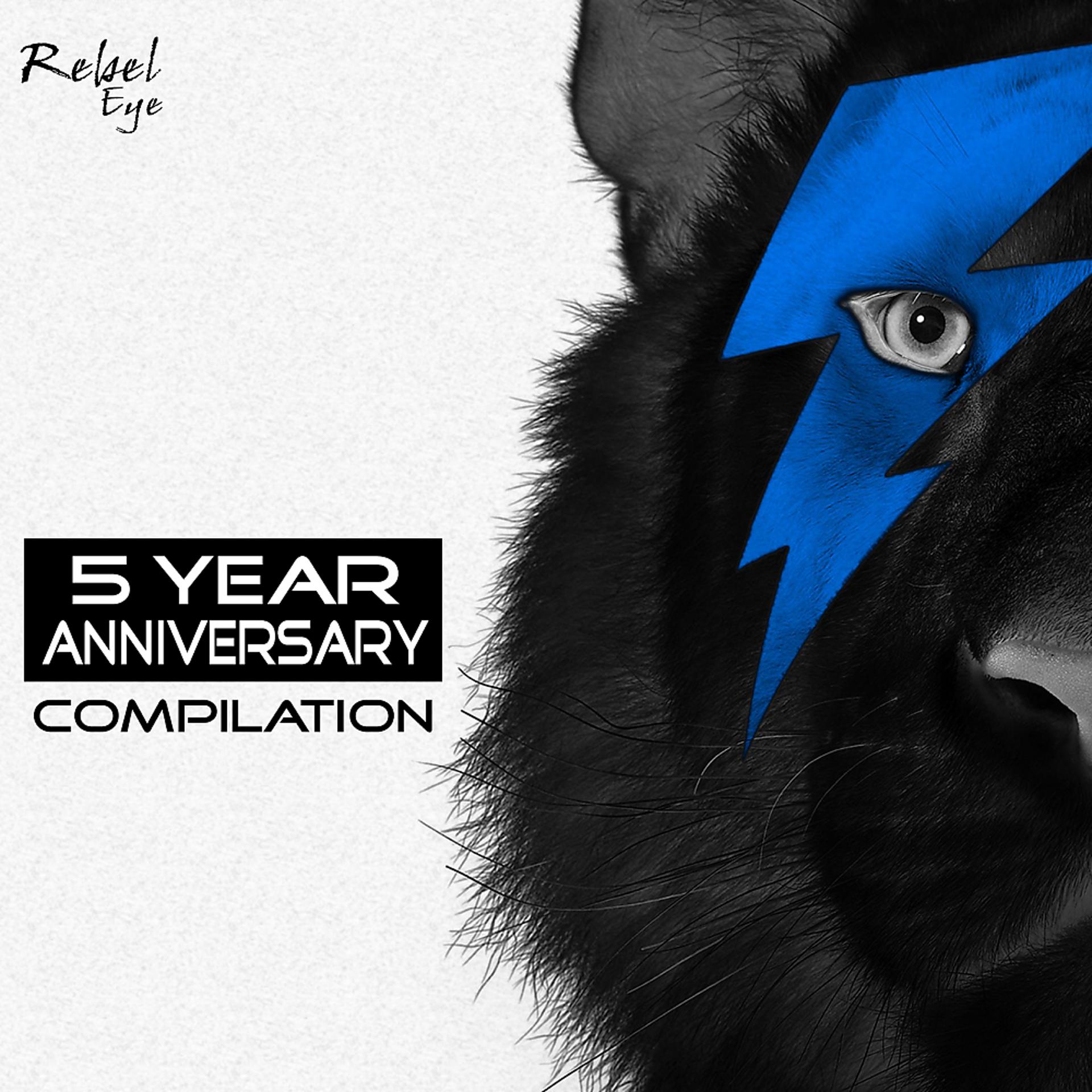 Постер альбома Rebel Eye 5 Year Anniversary Compilation