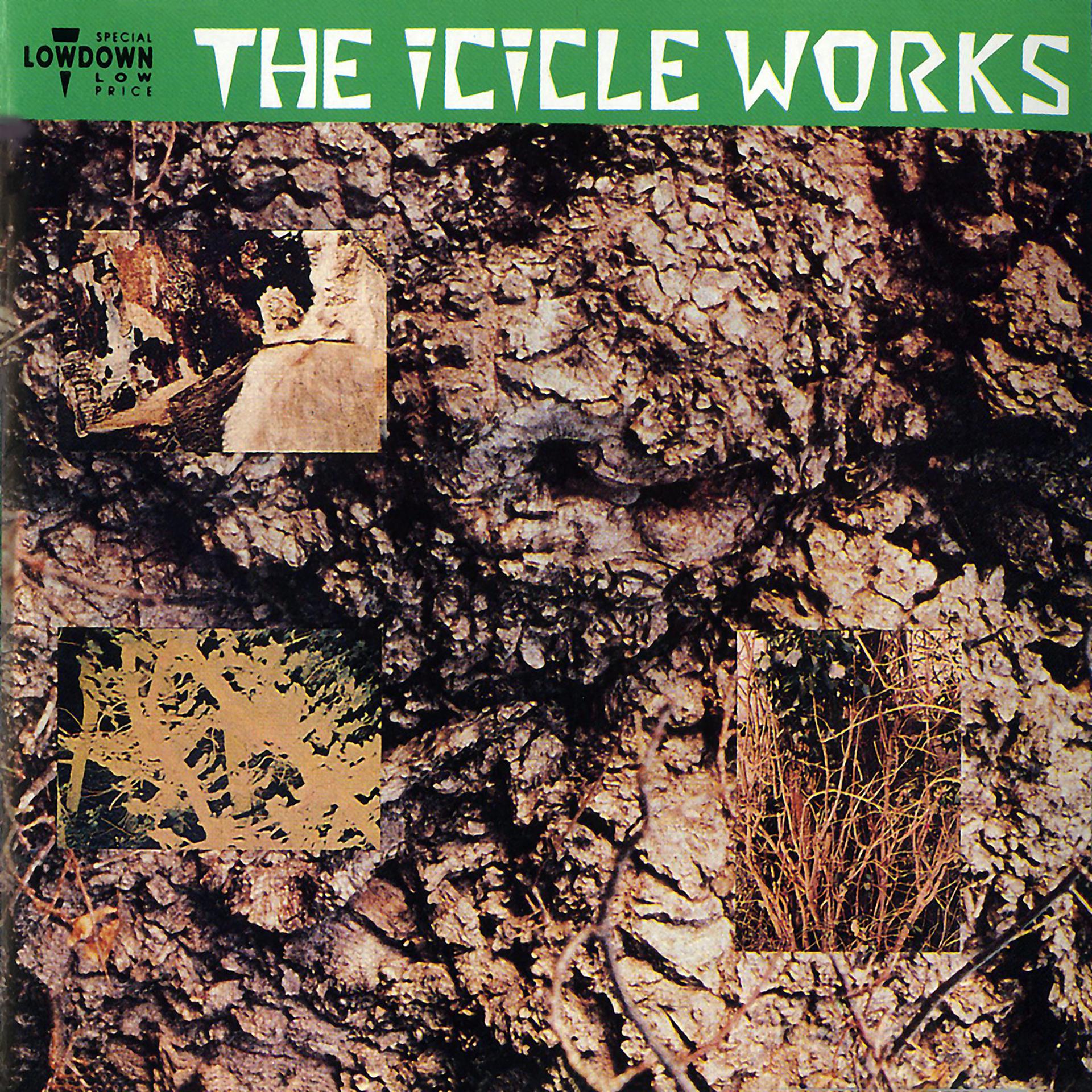 Постер альбома The Icicle Works