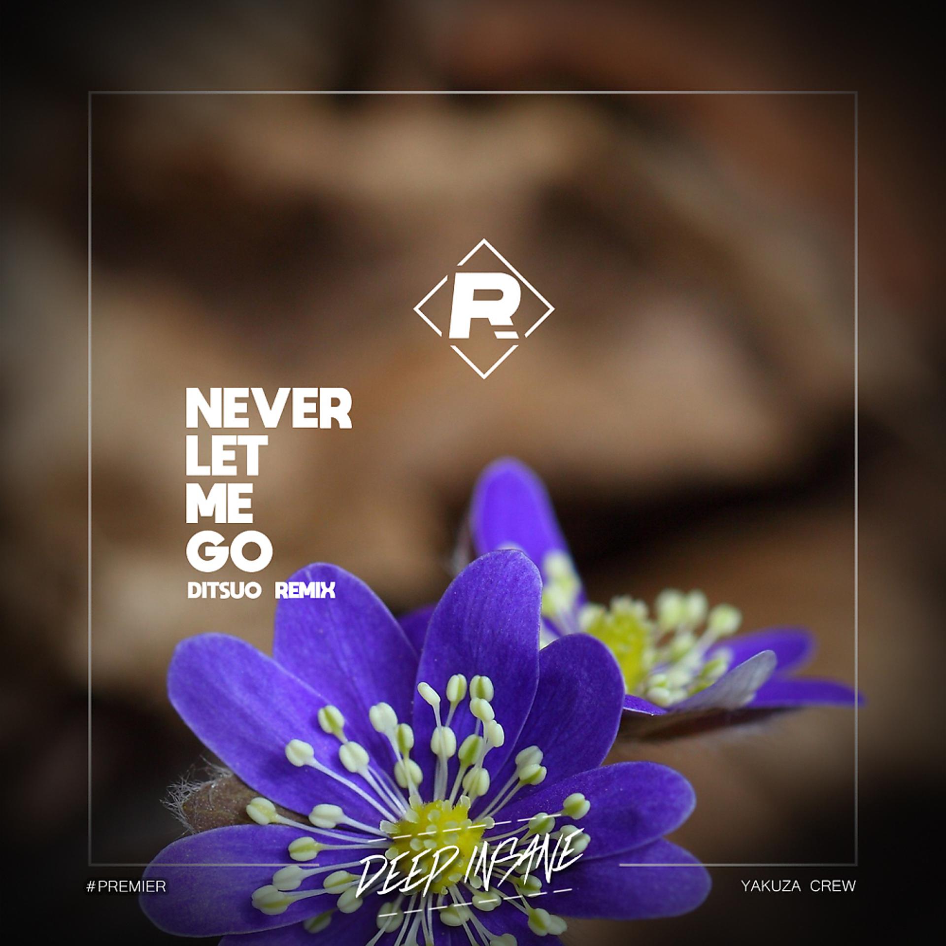 Постер альбома Never Let Me Go (DITSUO Remix)