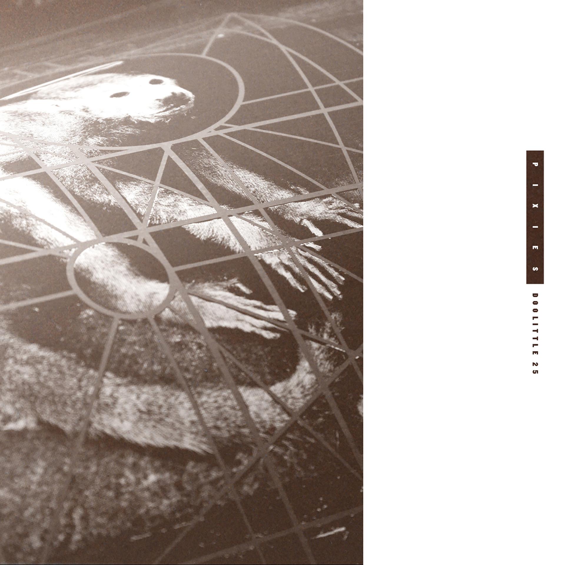 Постер альбома Doolittle 25: B-Sides, Peel Sessions And Demos