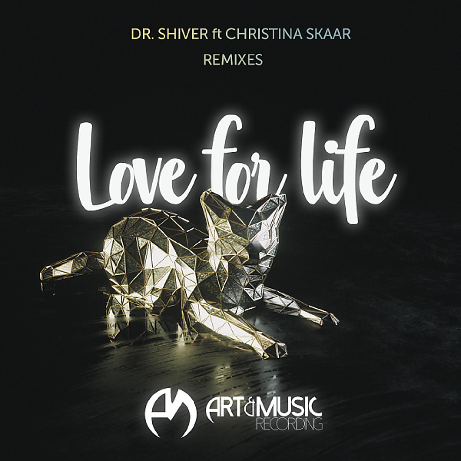 Постер альбома Love For Life (Leonail, Jesse James, Felix Schorn, Magnus Foss Remixes)