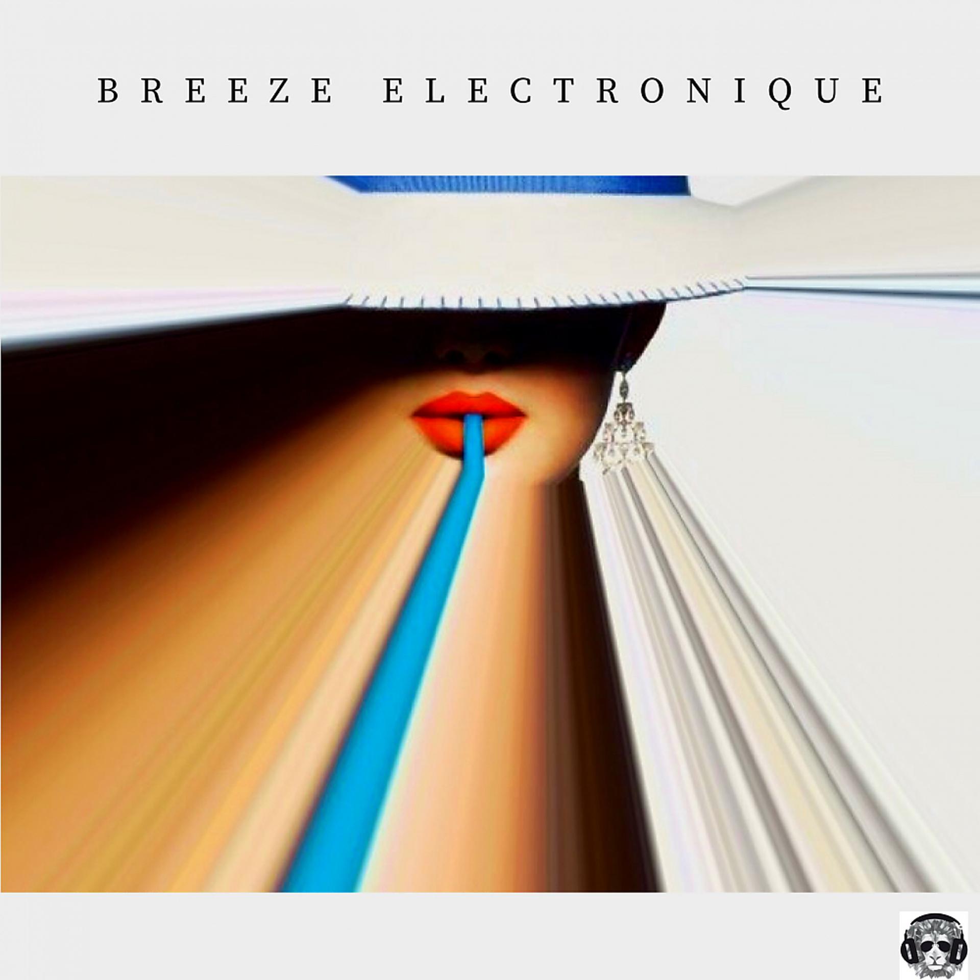 Постер альбома Breeze Electronique
