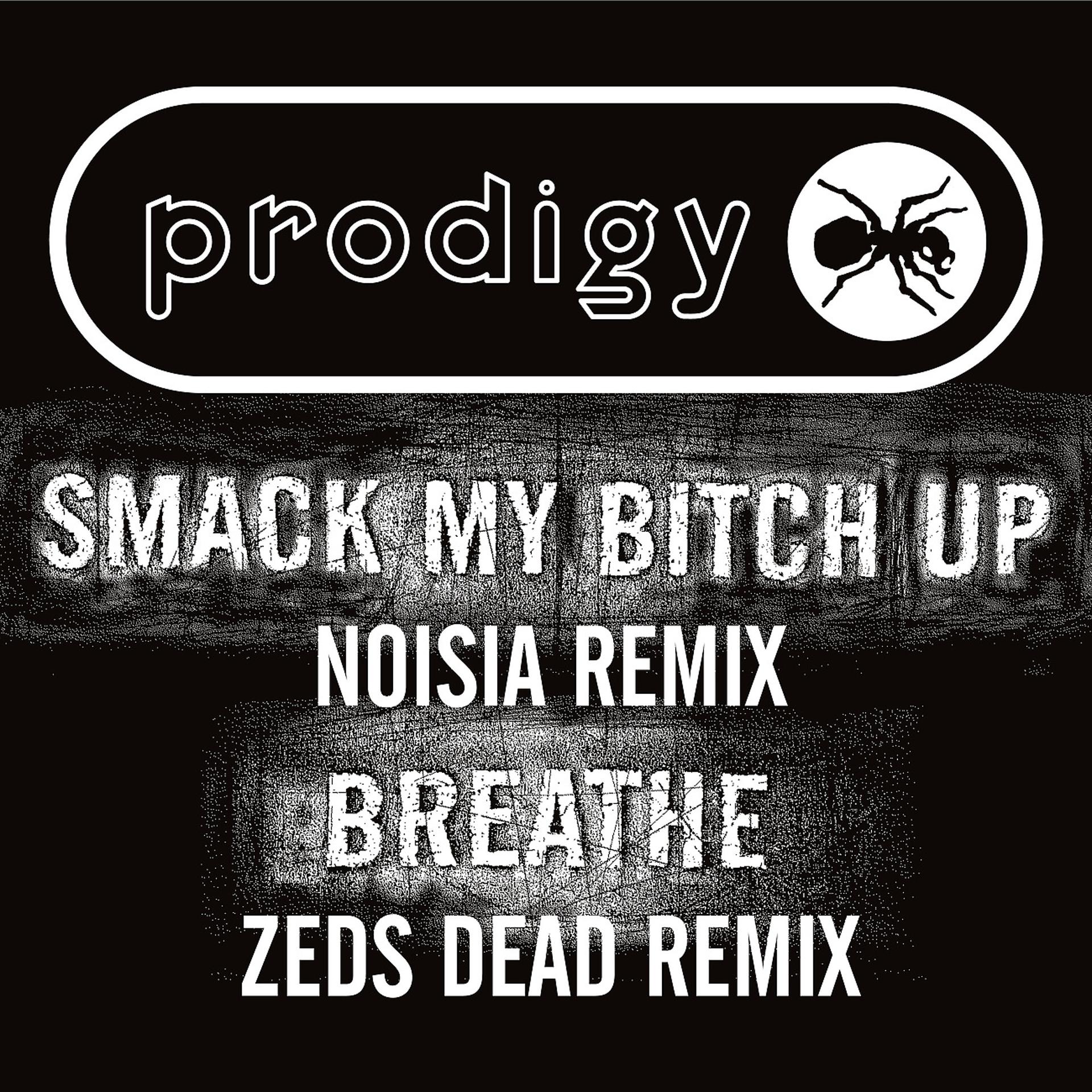 Постер альбома Smack My Bitch Up (Noisia Remix)/ Breathe (Zeds Dead Remix)