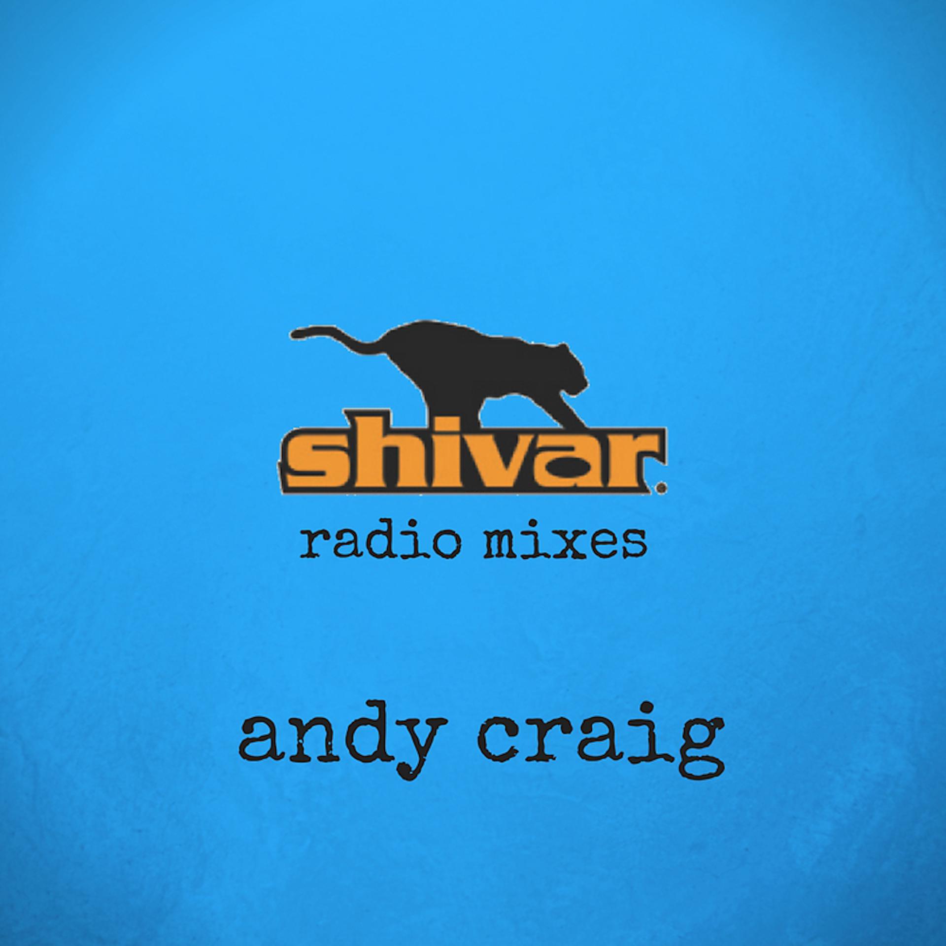 Постер альбома Shivar Radio Mixes