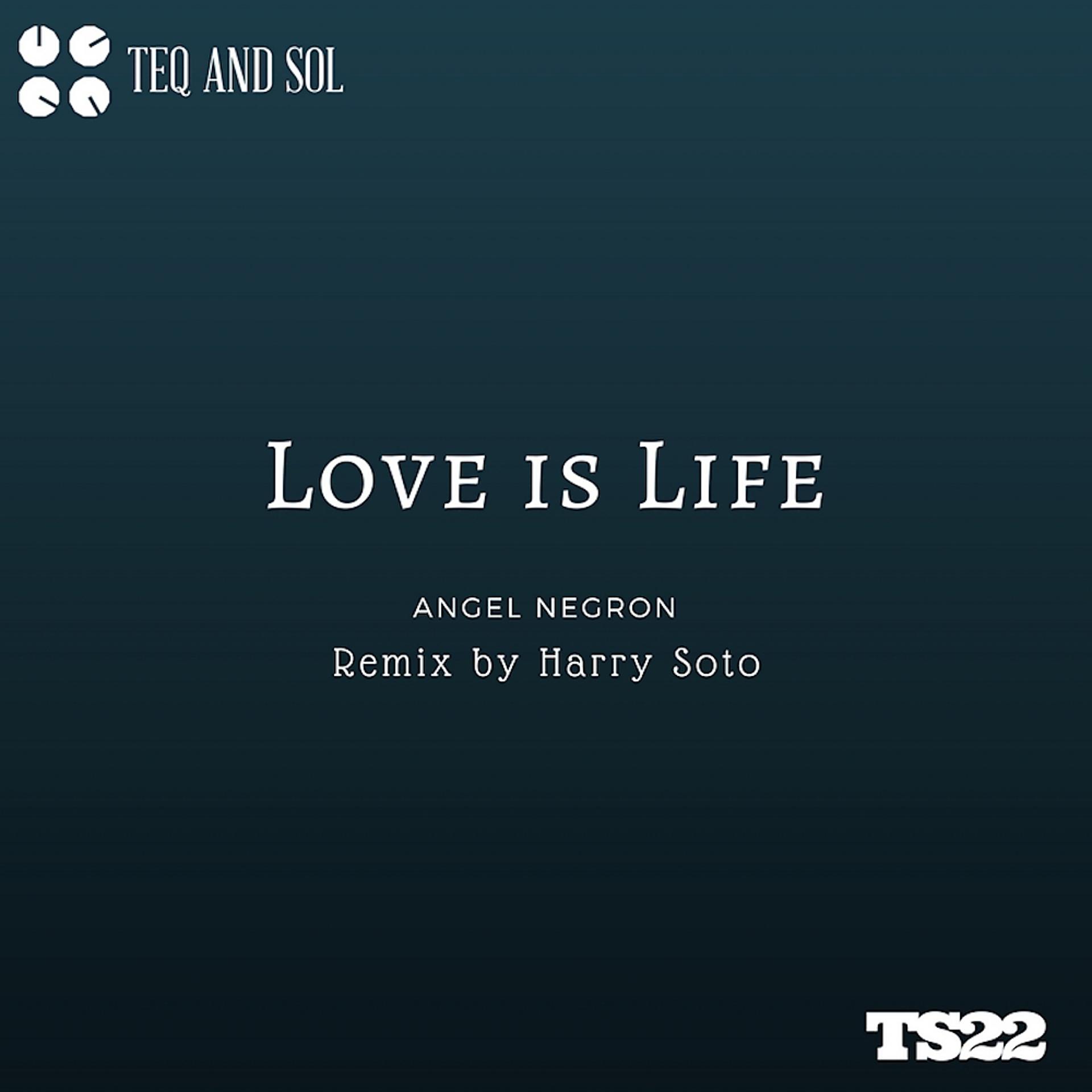 Постер альбома Love Is Life