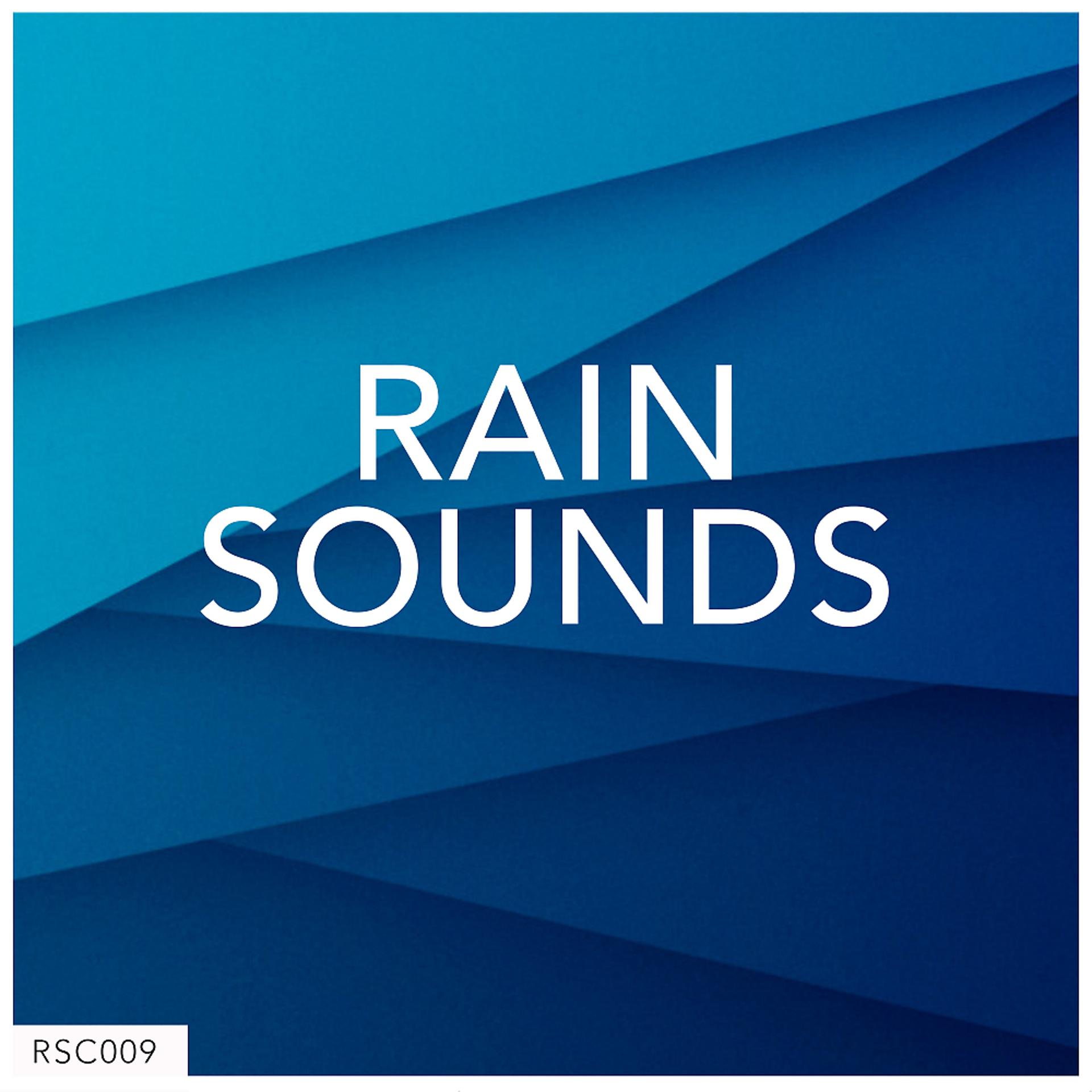 Постер альбома Rain Sounds