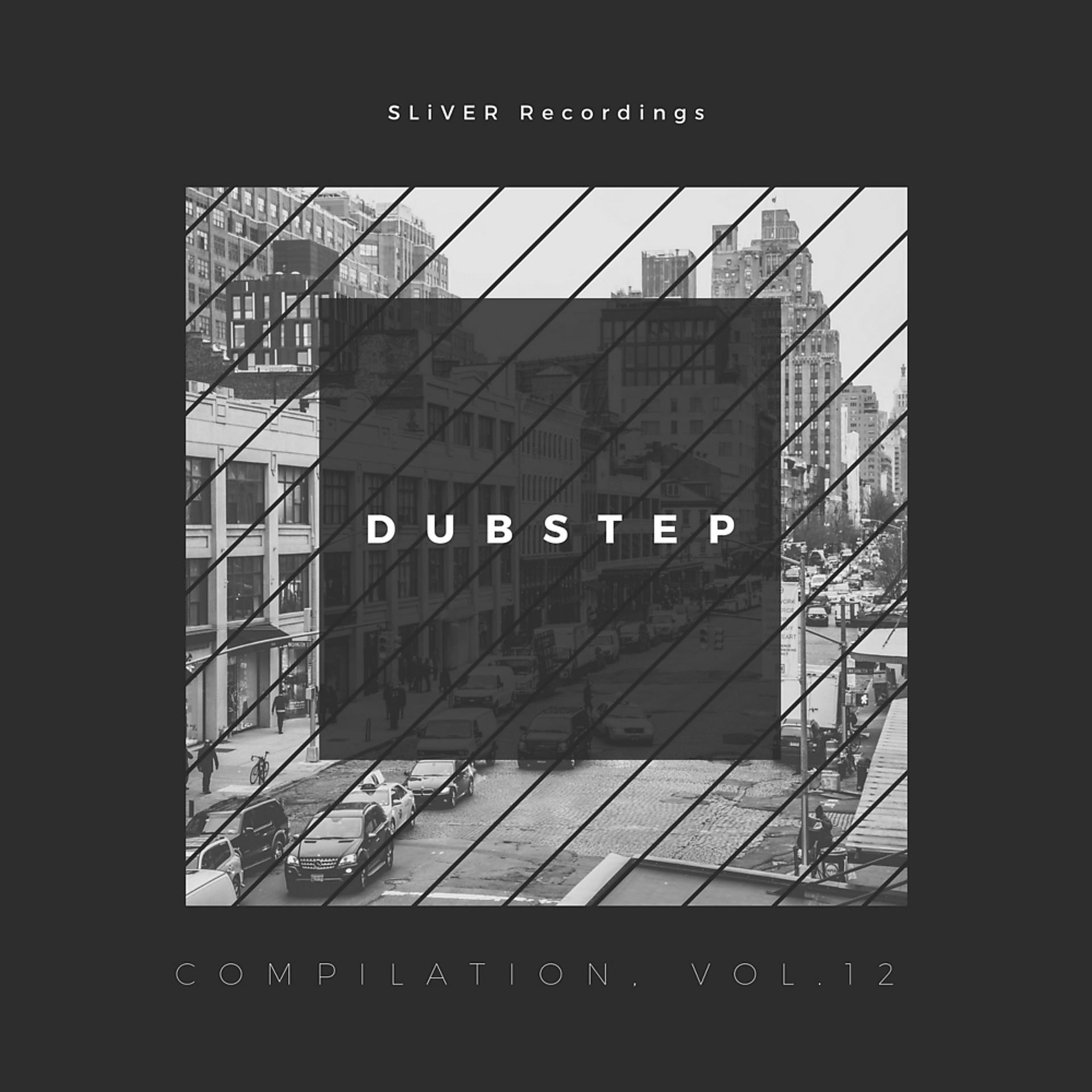 Постер альбома Sliver Recordings: Dubstep, Compilation, Vol. 12