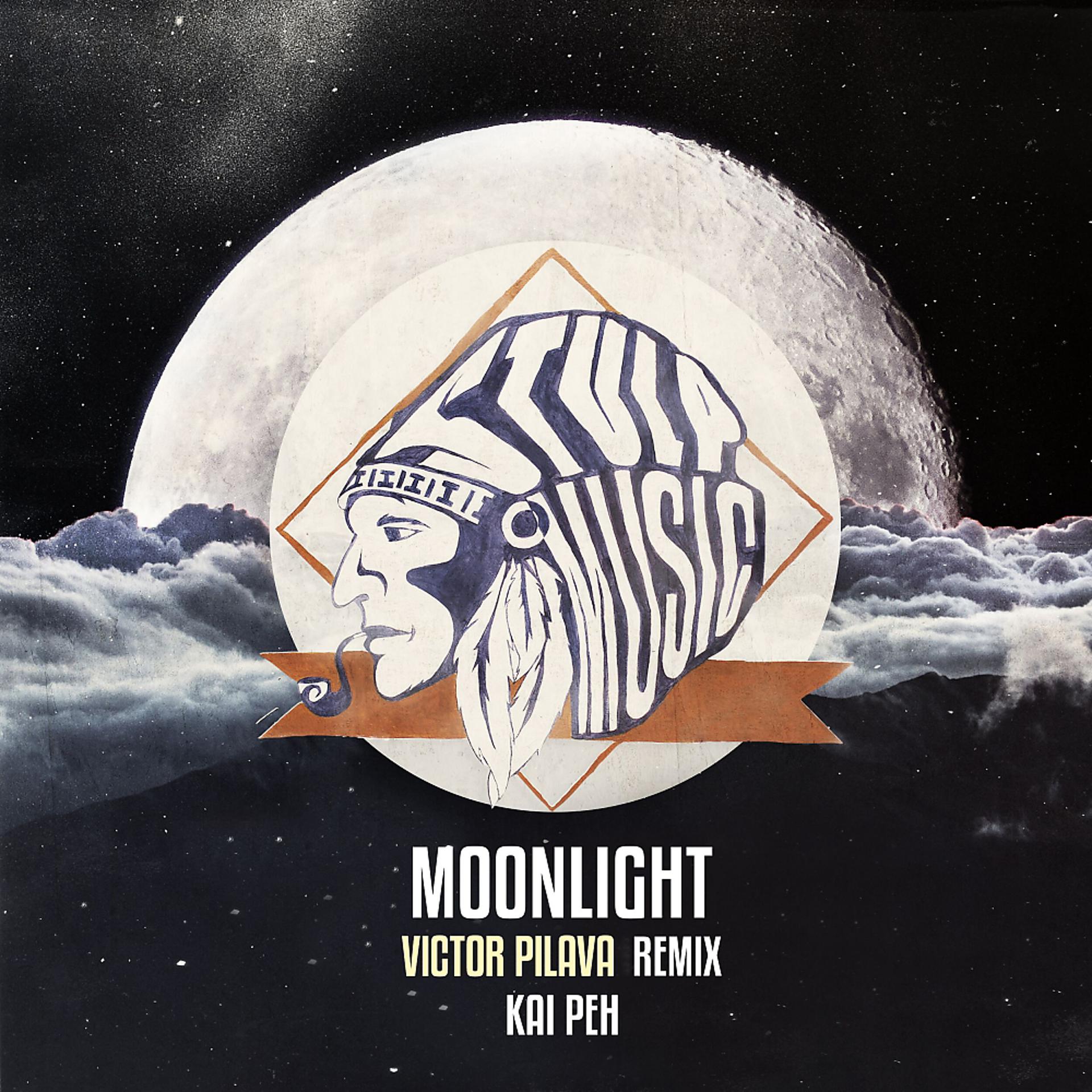 Постер альбома Moonlight (Victor Pilava Remix)