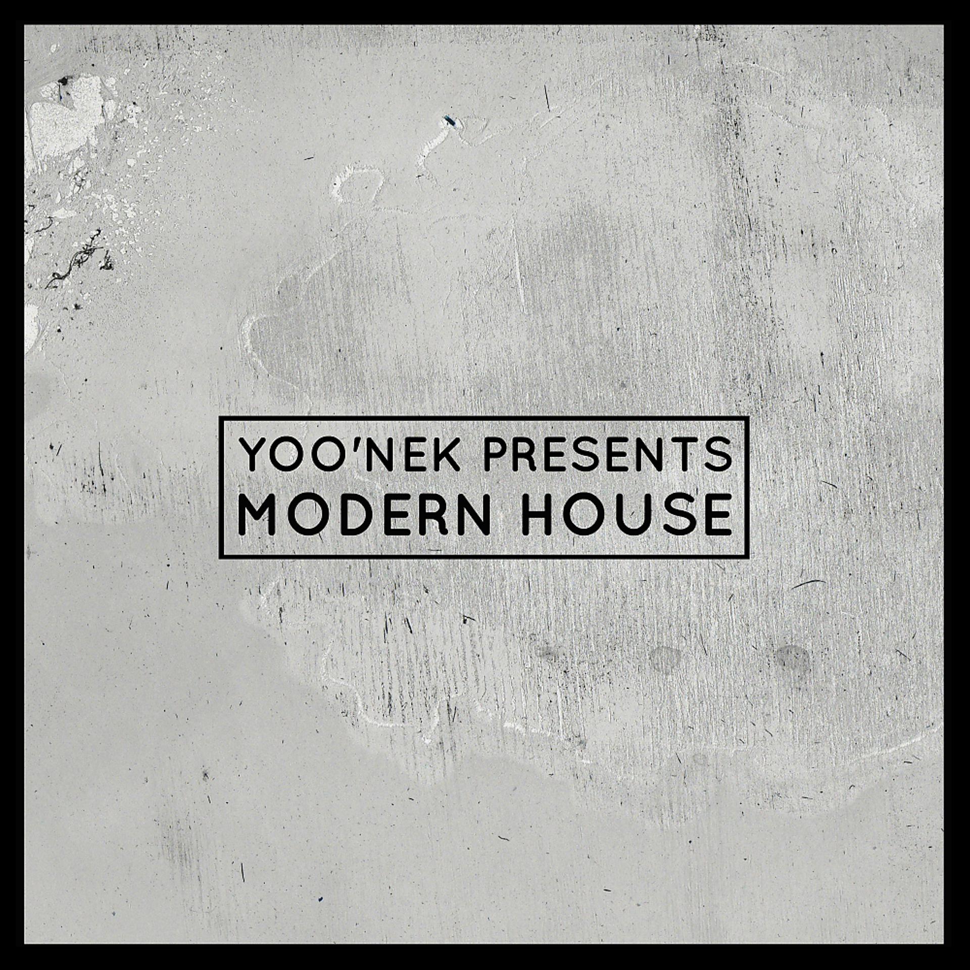 Постер альбома Yoo'nek Presents Modern House