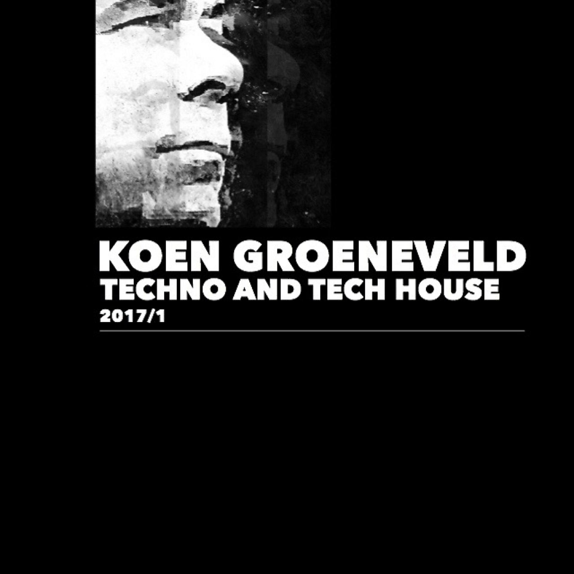 Постер альбома Techno and Tech House 2017/1