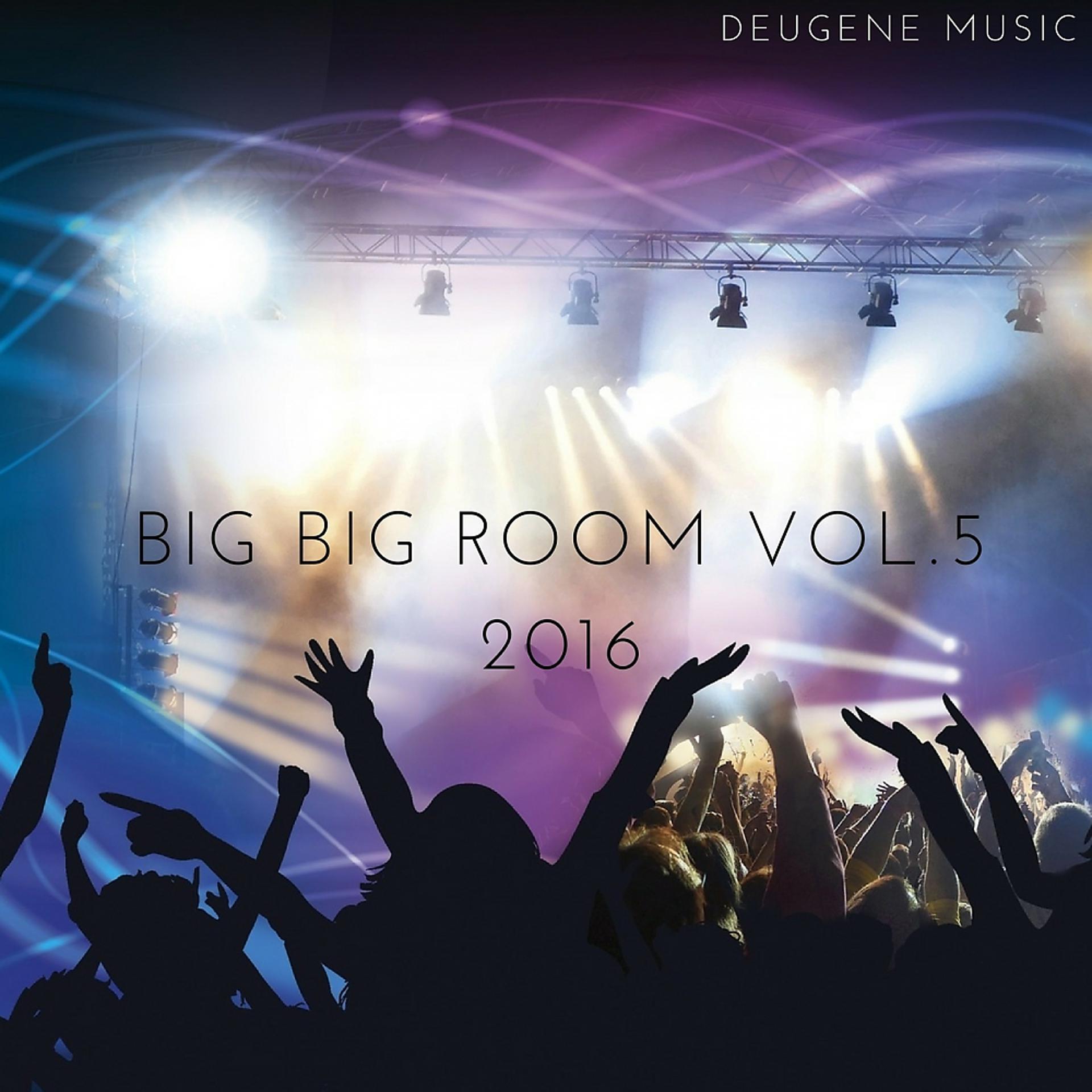 Постер альбома Big Big Room, Vol. 5
