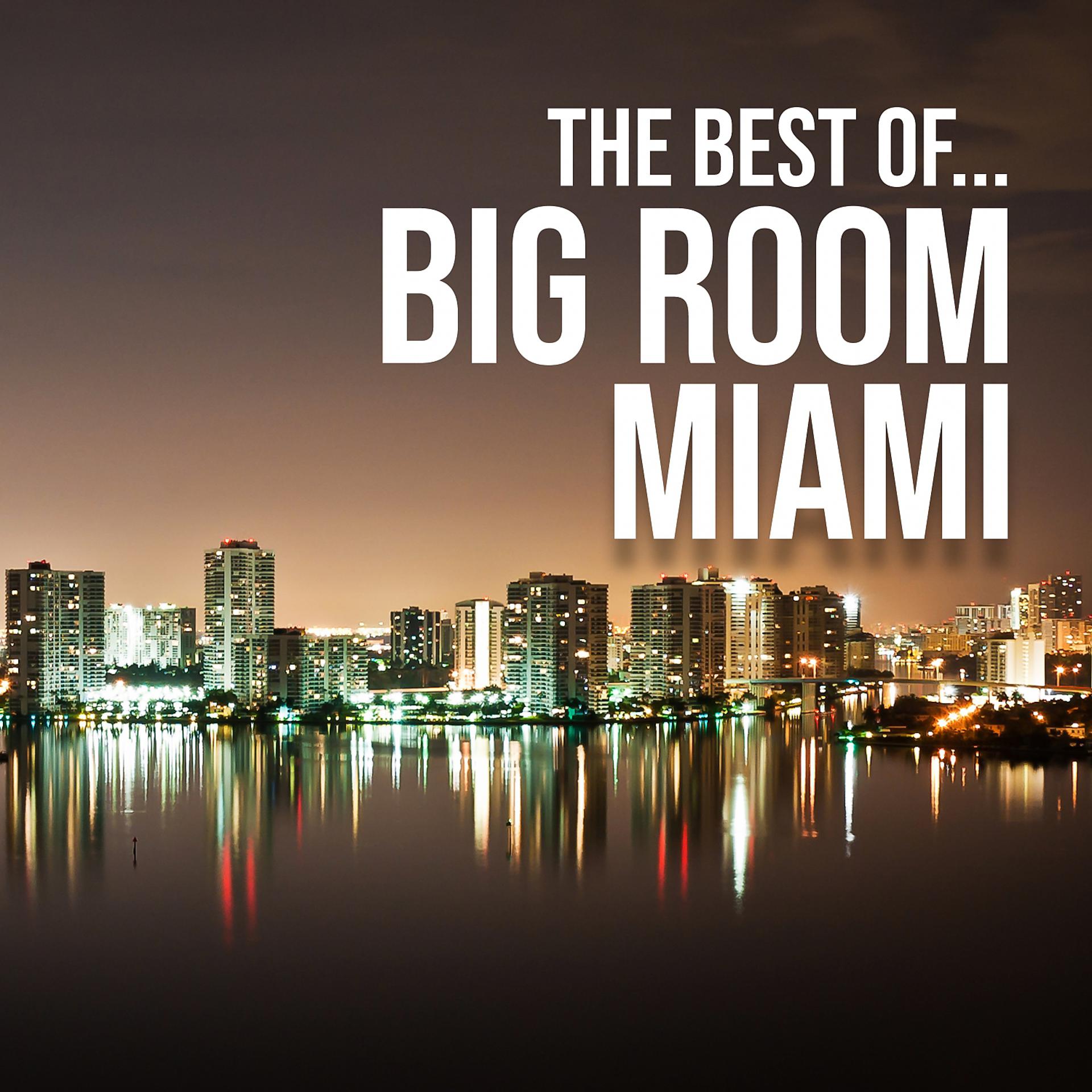 Постер альбома The Best Of... Big Room Miami