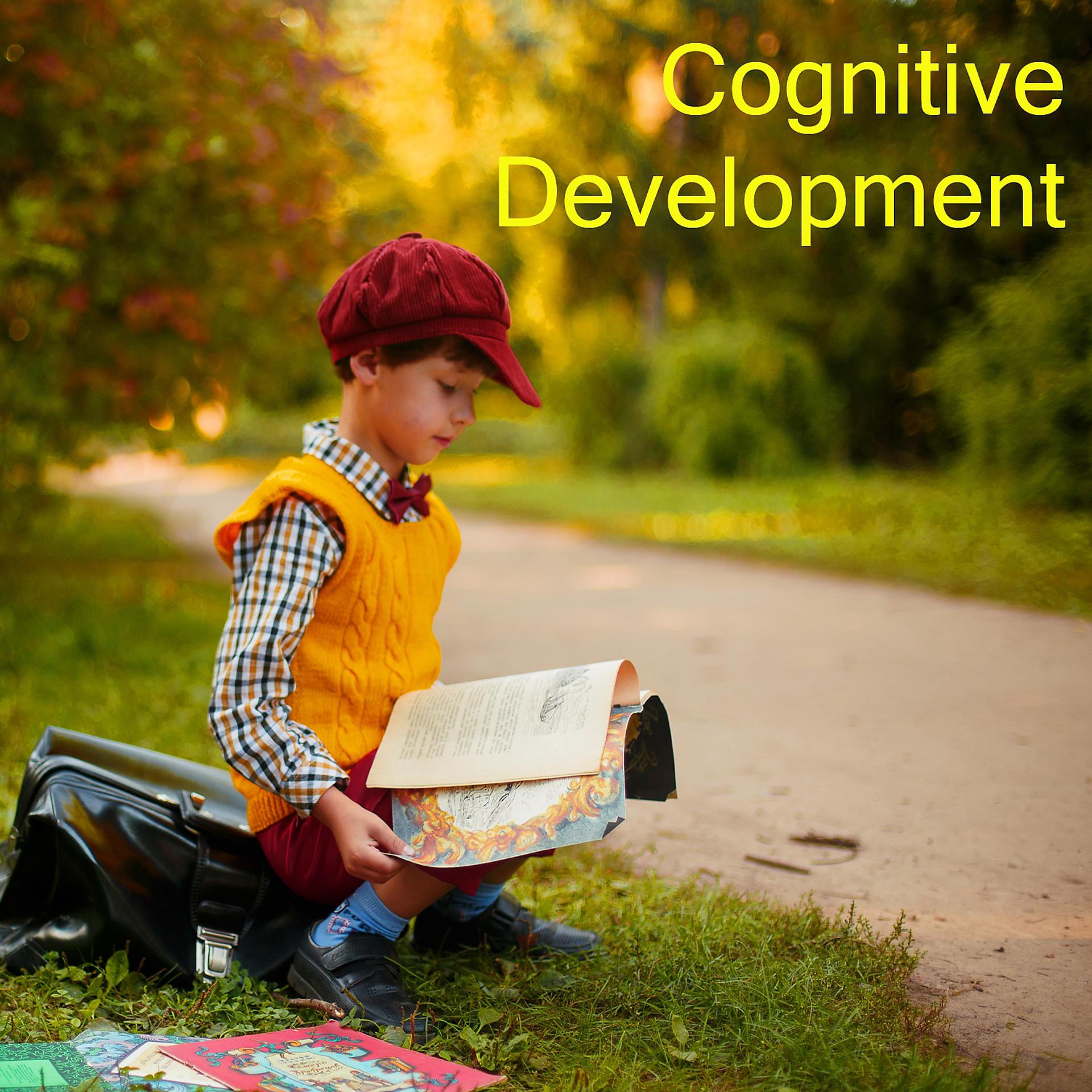 Постер альбома Cognitive Development