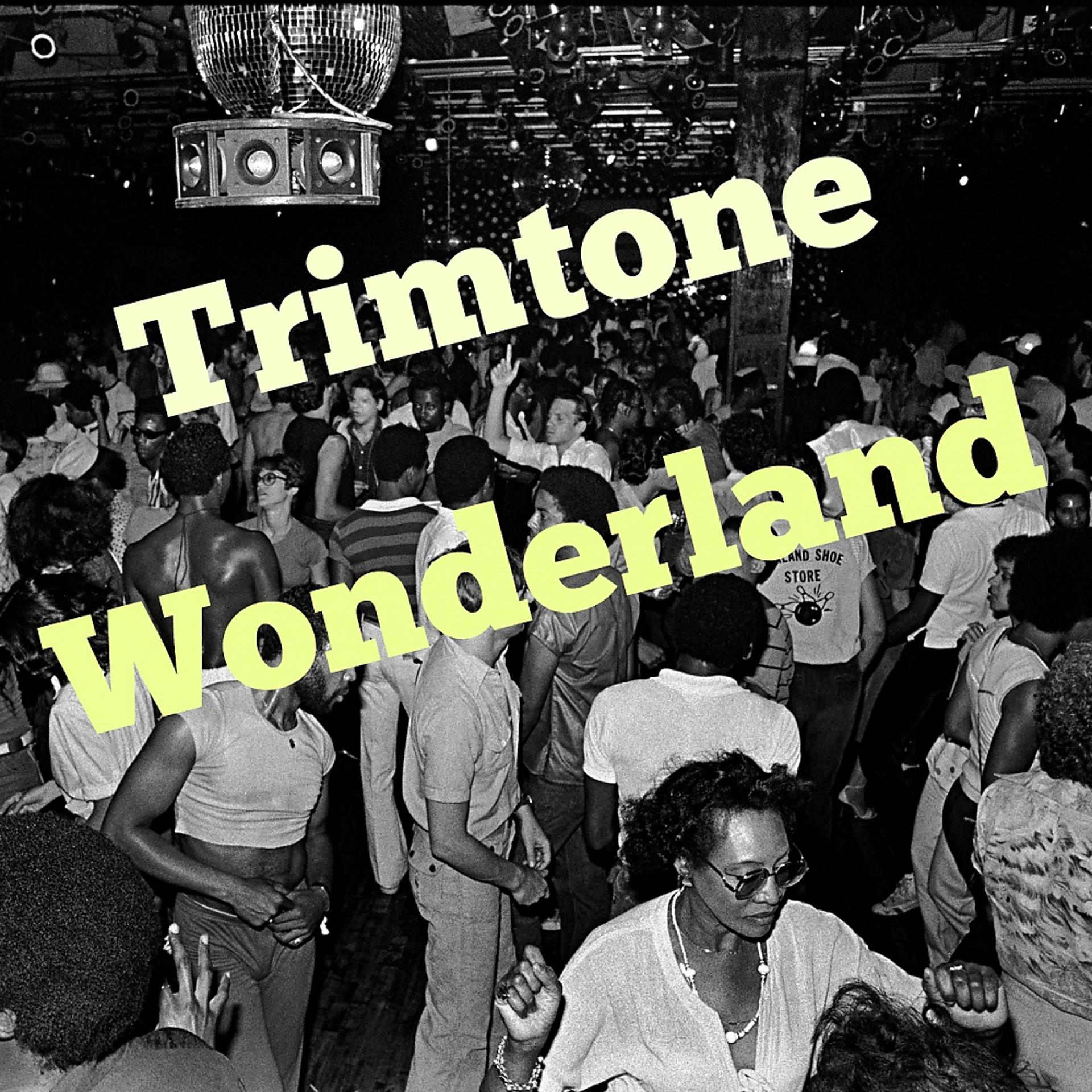 Постер альбома Wonderland (Trimone at The Disco Mix)