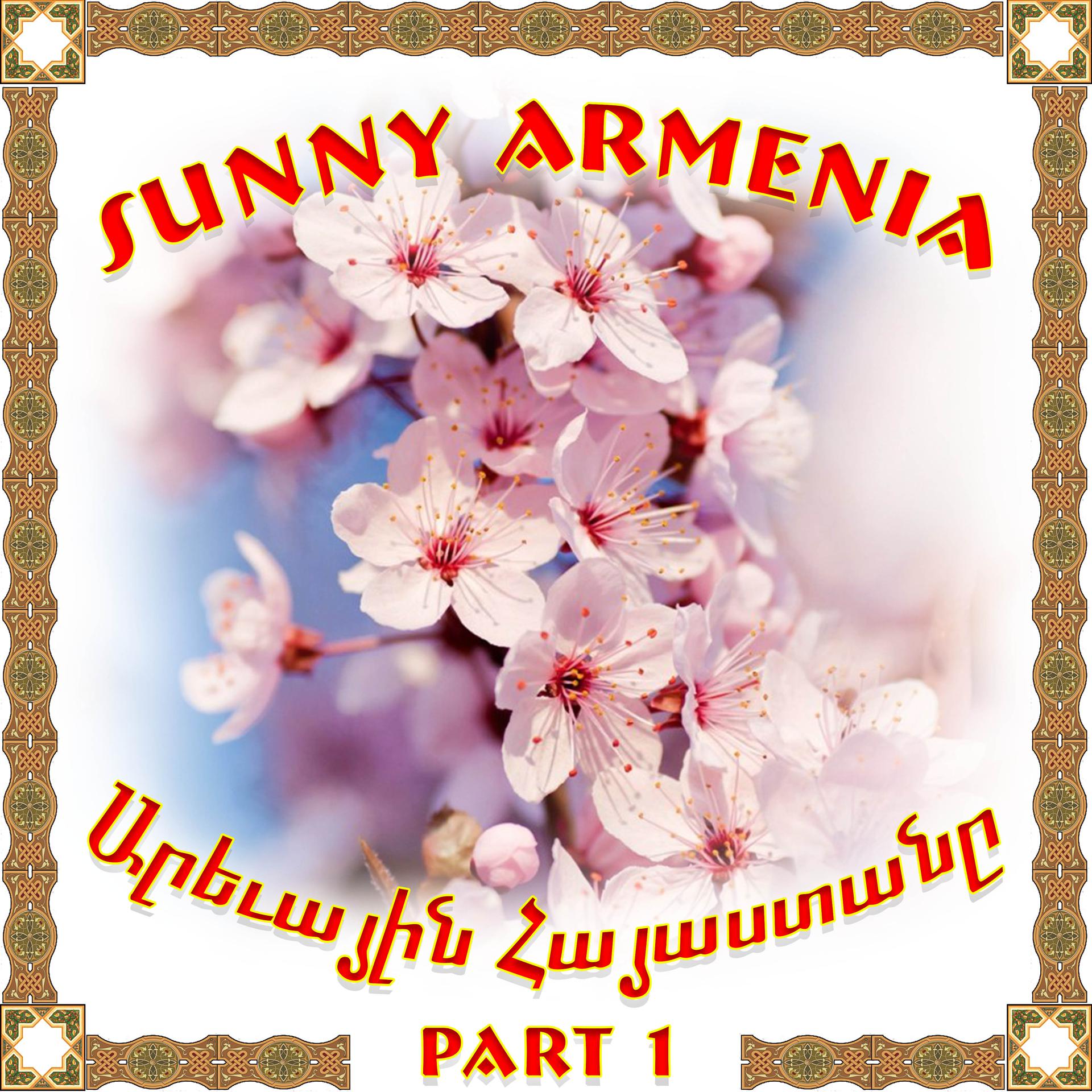 Постер альбома Sunny Armenia 1