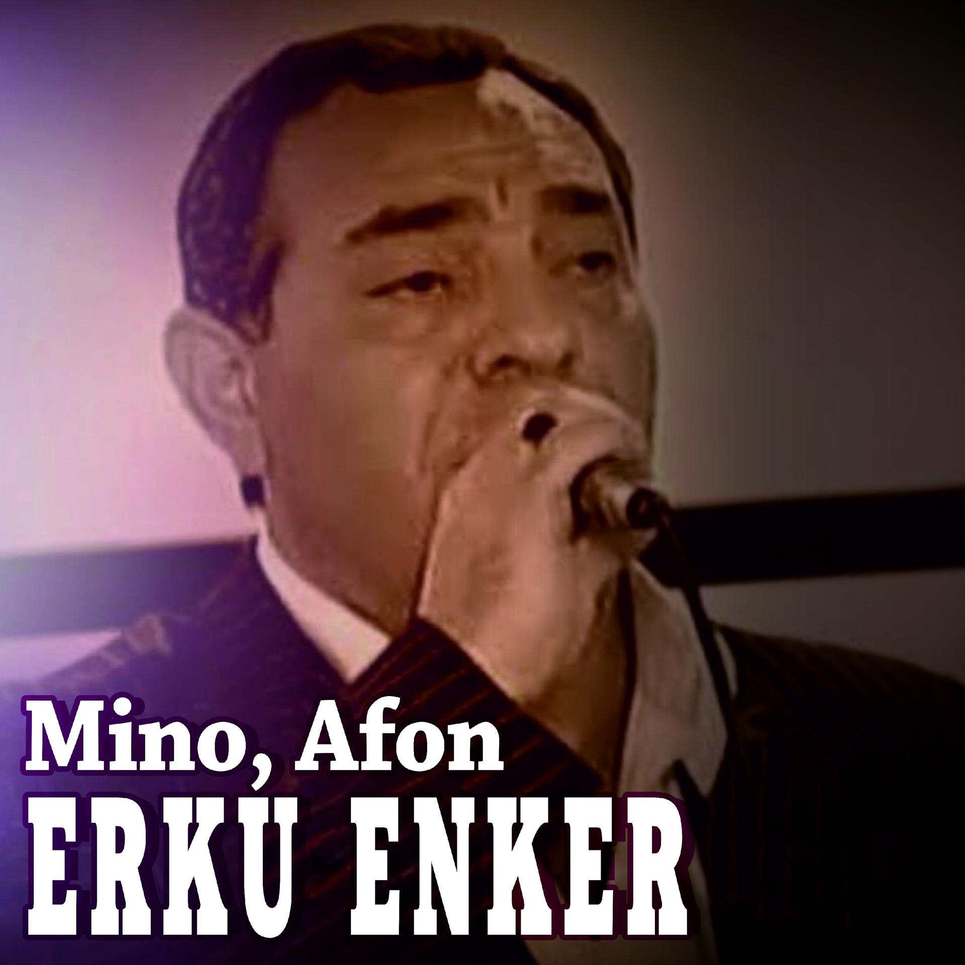 Постер альбома Erku Enker