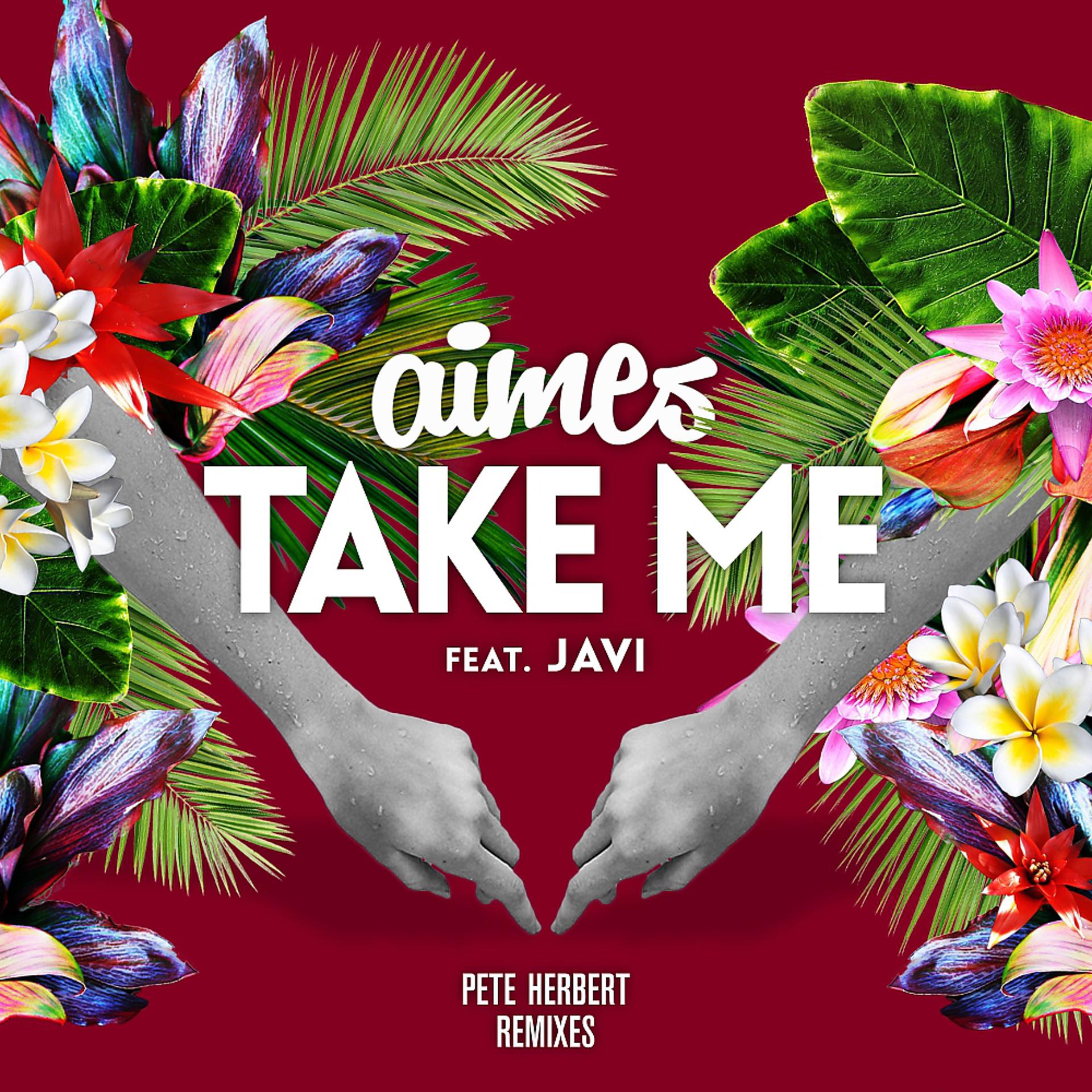 Постер альбома Take Me (Pete Herbert Remixes)