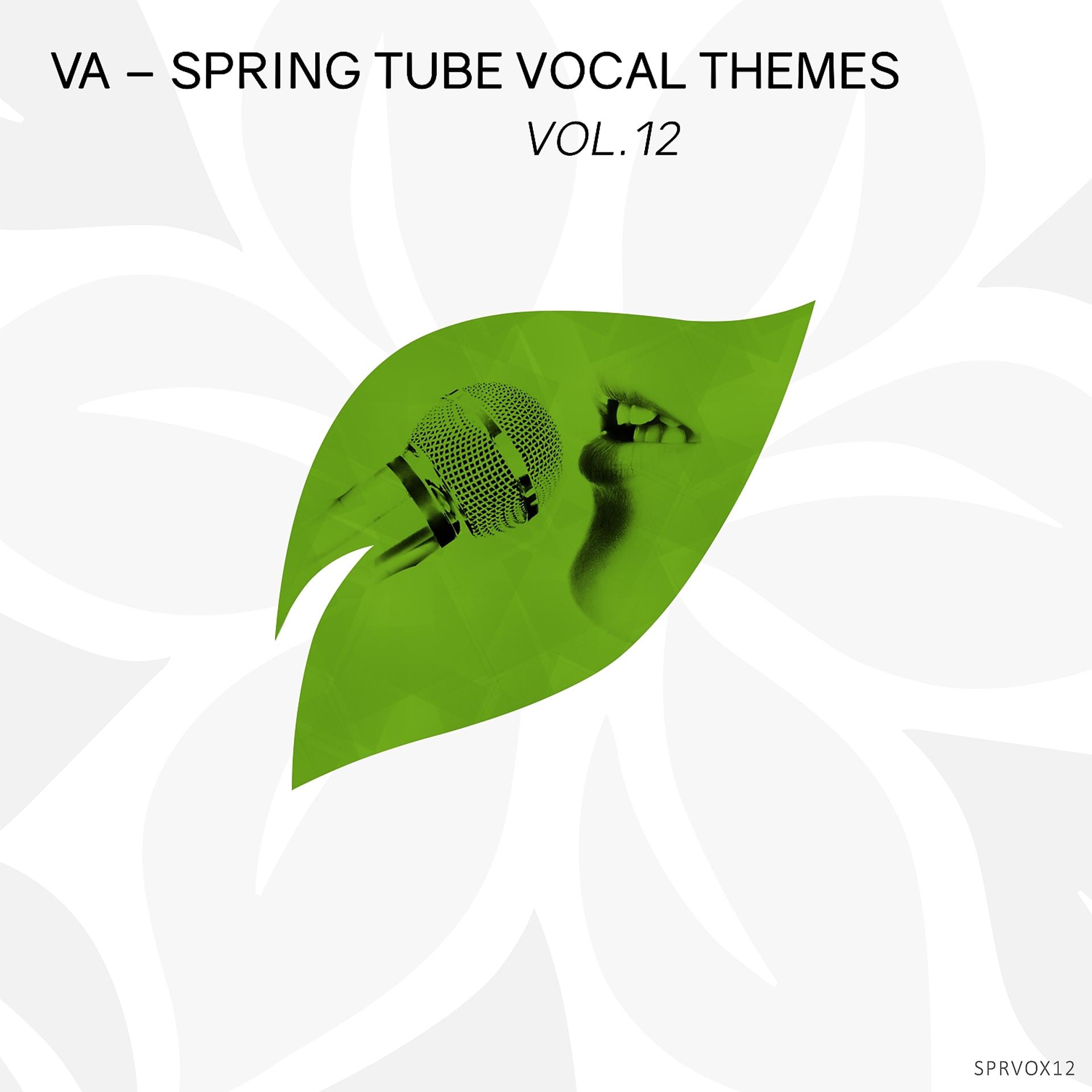 Постер альбома Spring Tube Vocal Themes, Vol.12