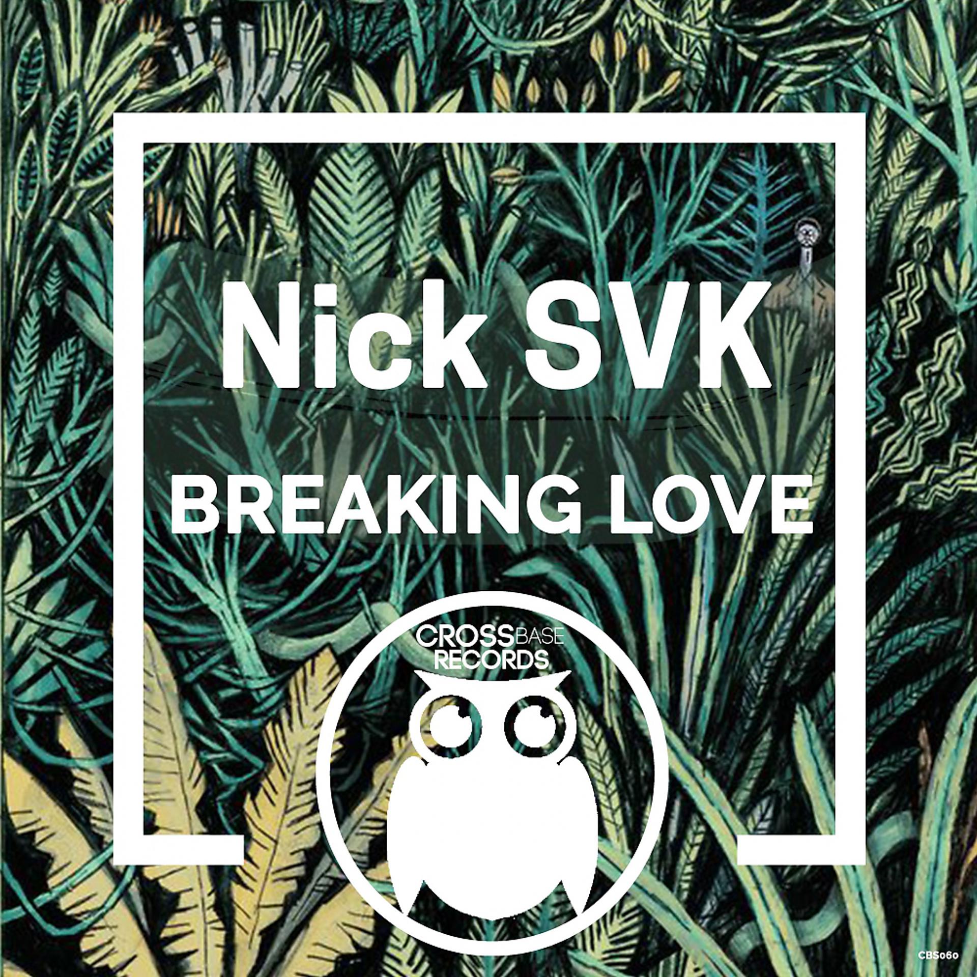 Постер альбома Breaking Love