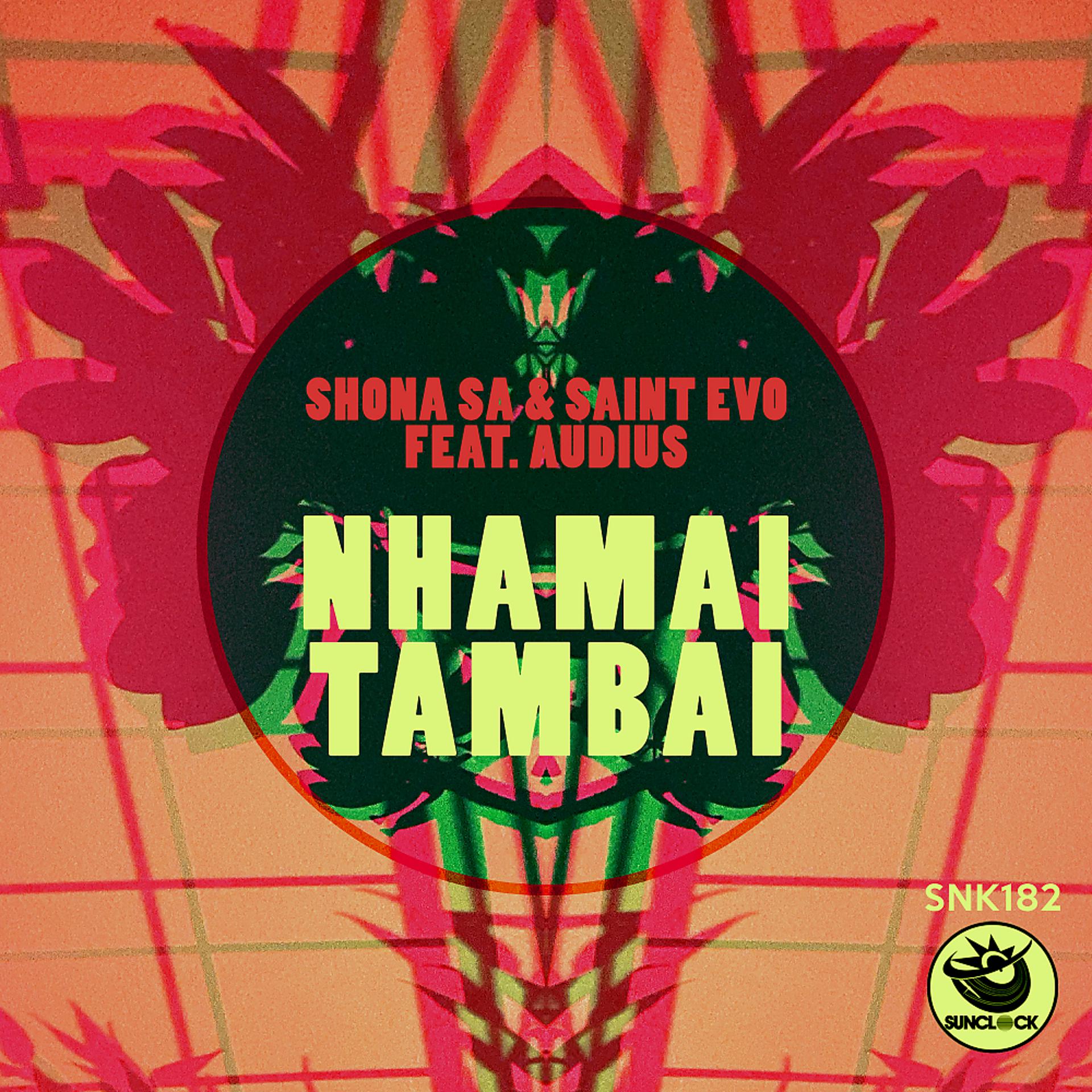 Постер альбома Nhamai Tambai