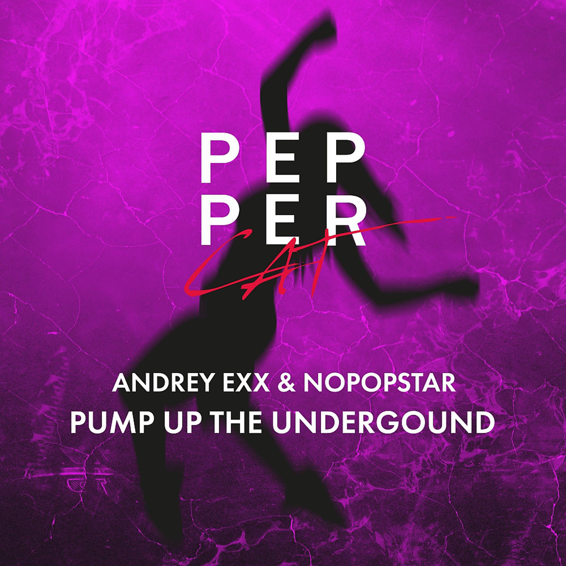 Постер альбома Pump Up The Underground