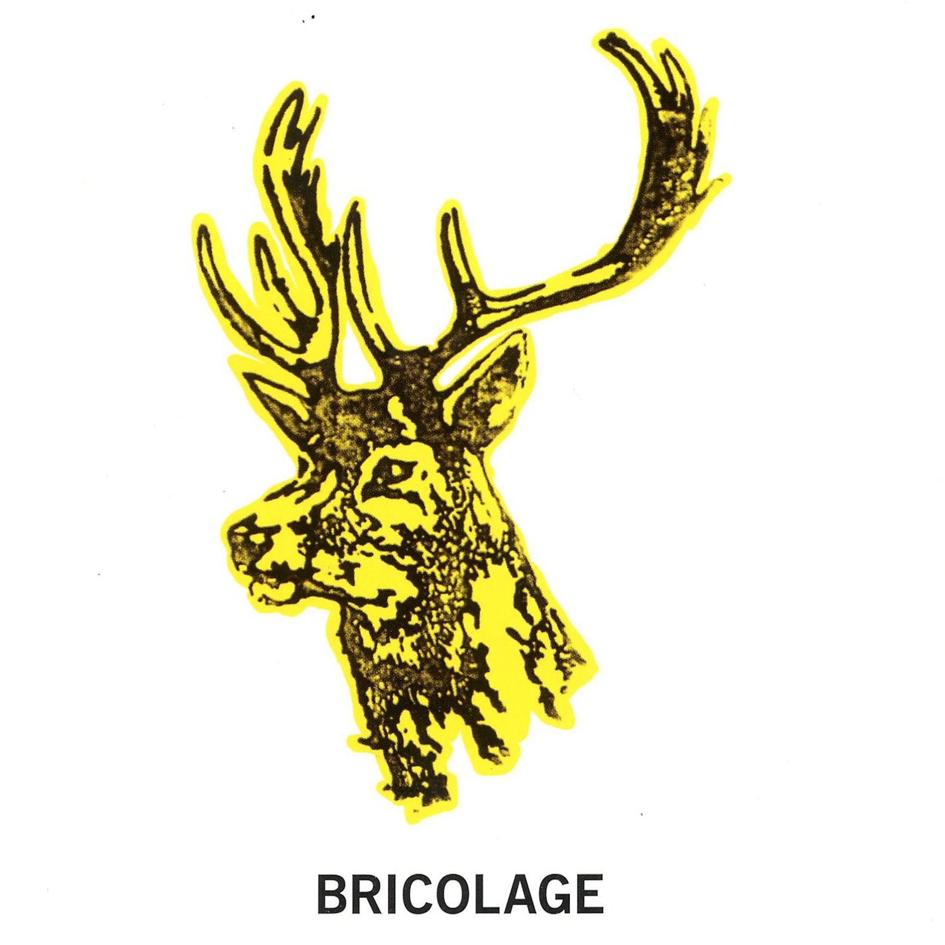 Постер альбома Bricolage