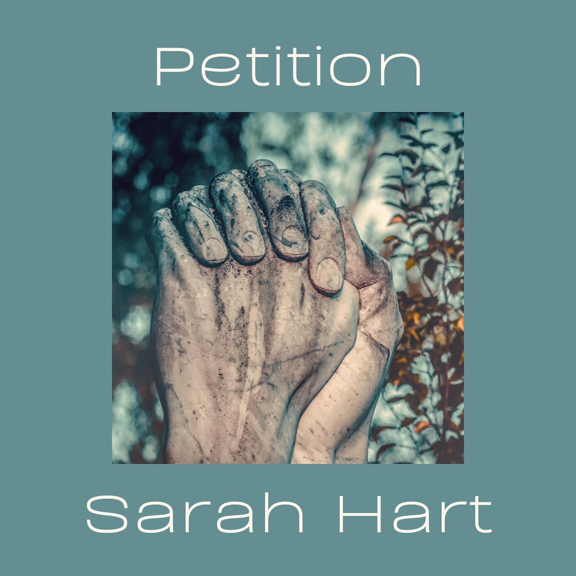 Постер альбома Petition