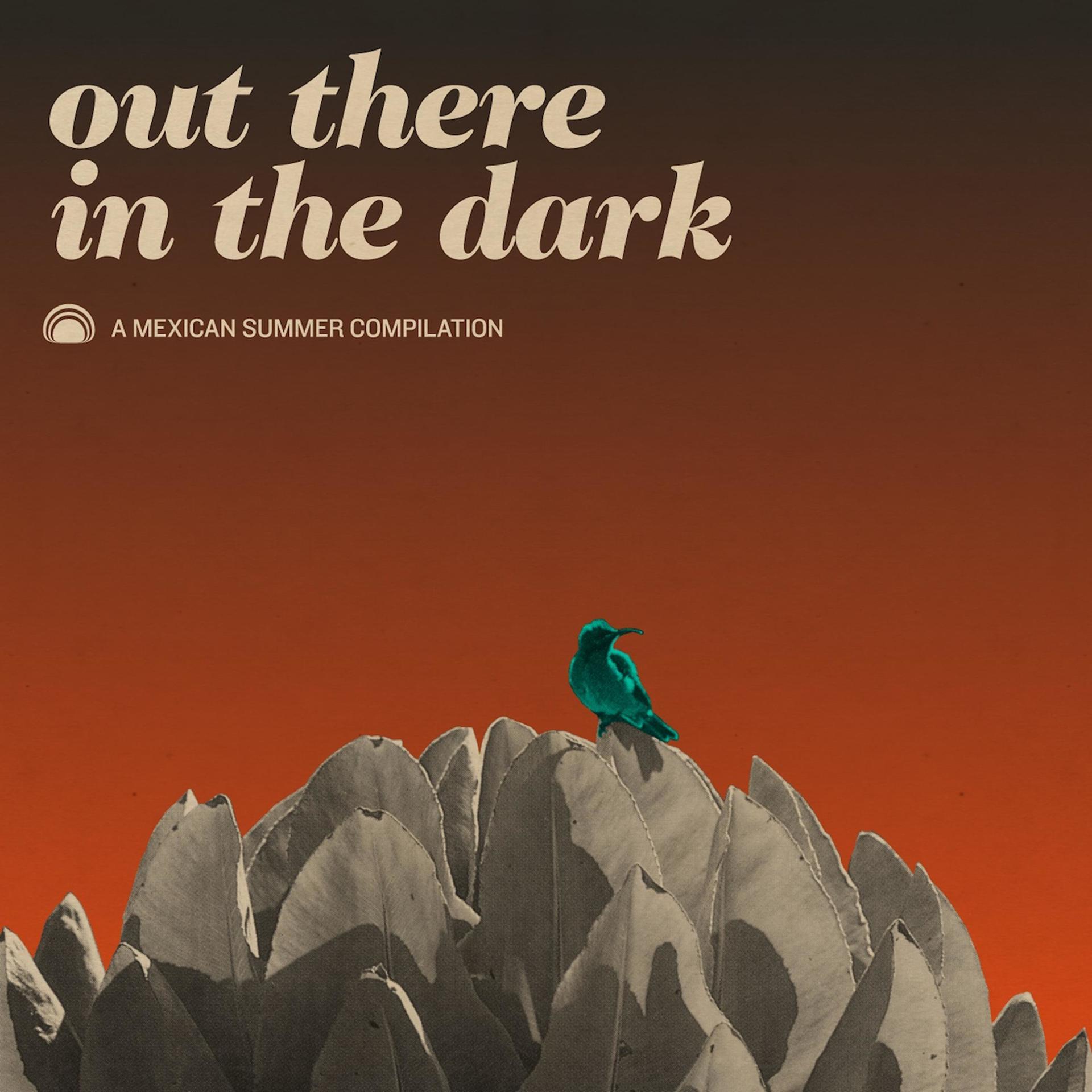 Постер альбома Out There in the Dark - A Mexican Summer Compilation