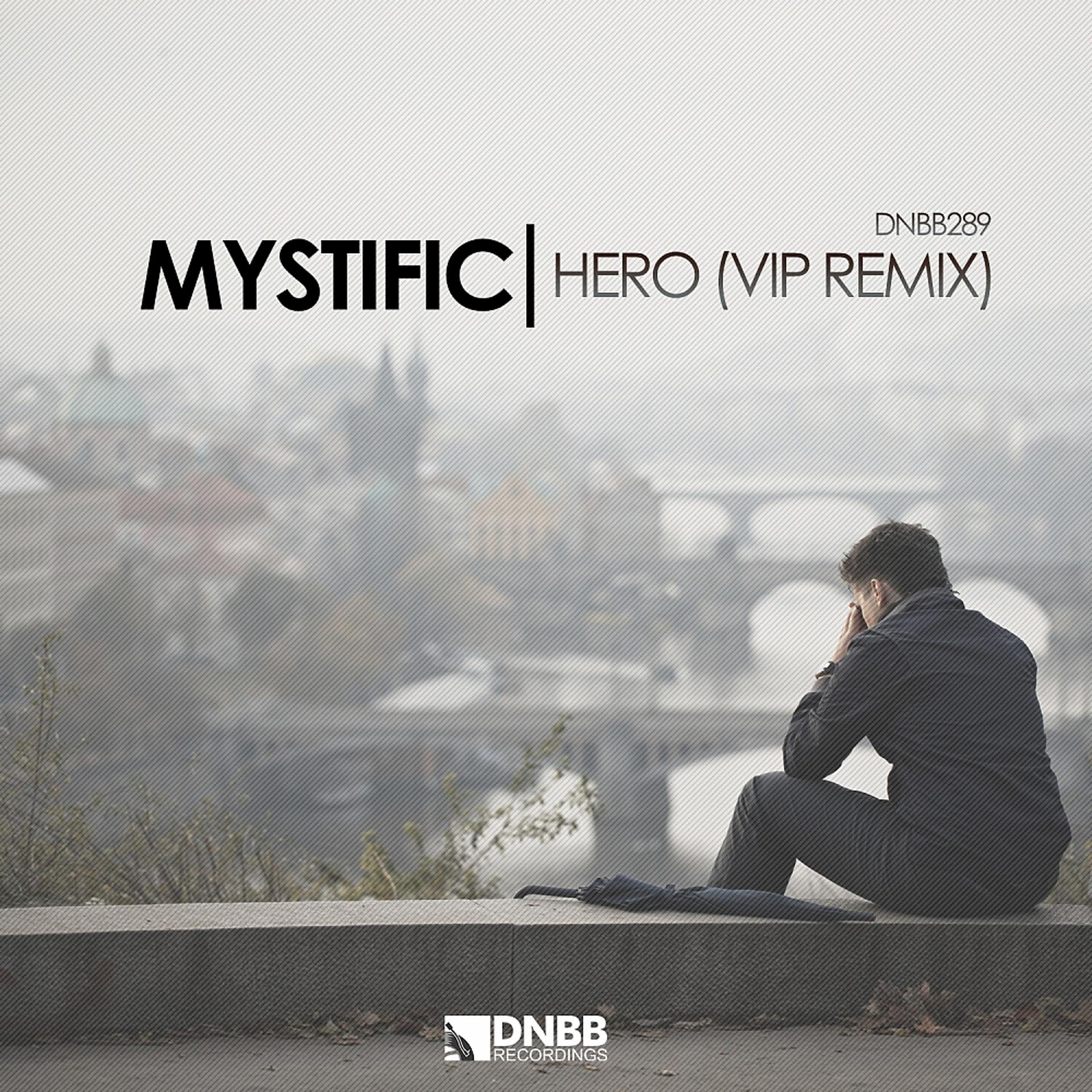 Постер альбома Hero (VIP Mix)