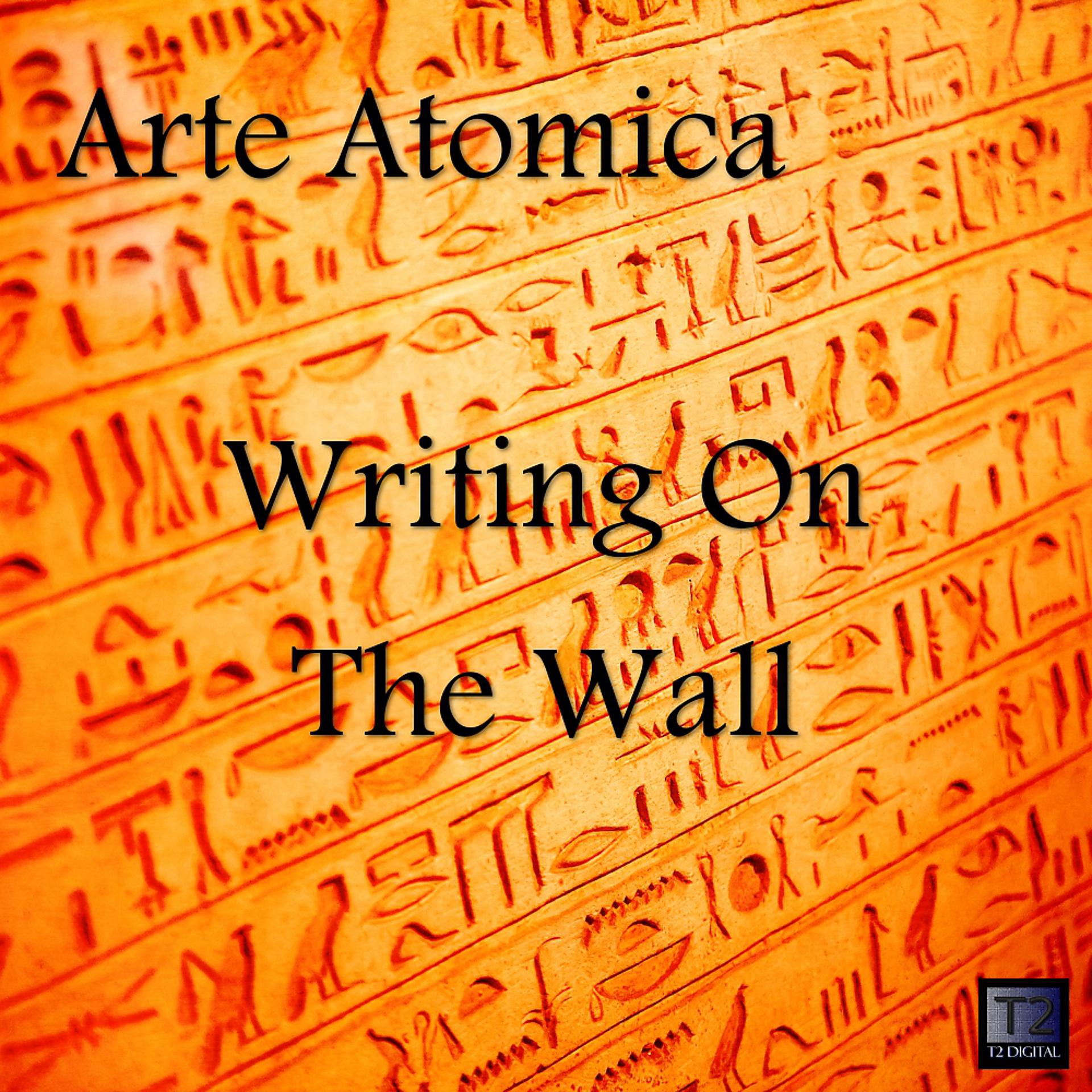 Постер альбома Writing On The Wall (Ali3n Mix)