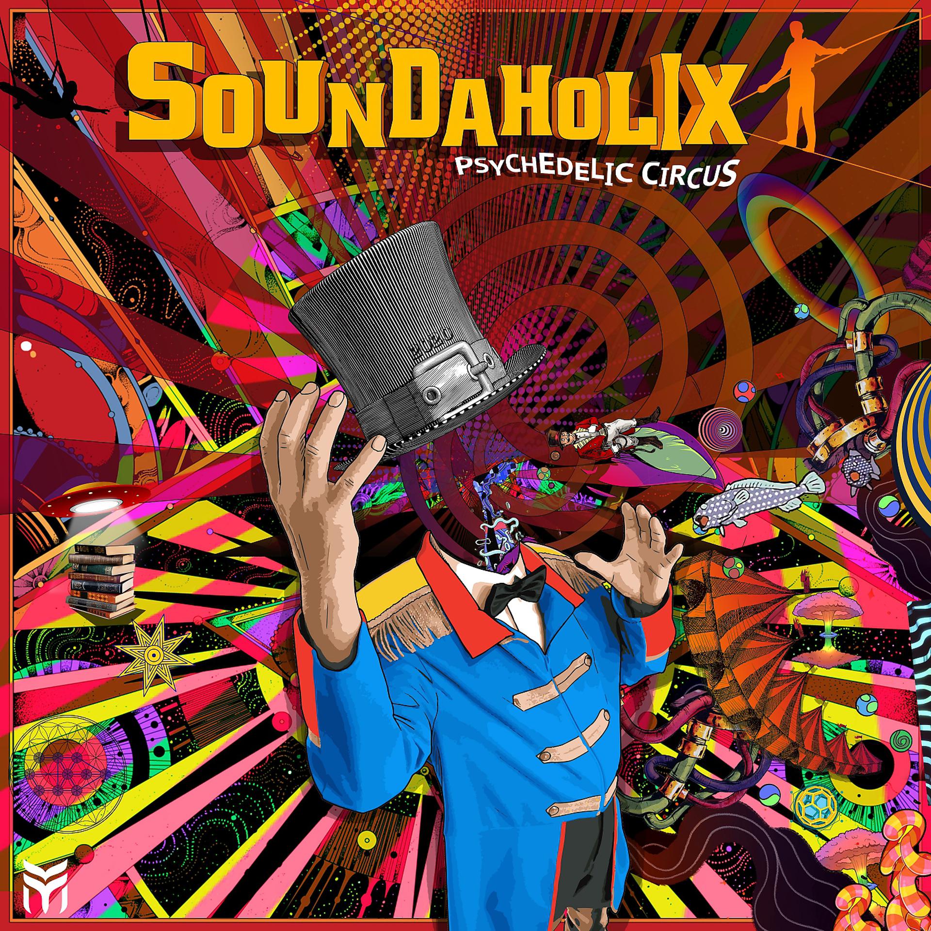 Постер альбома Psychedelic Circus (2020 Psypandemic Remix)