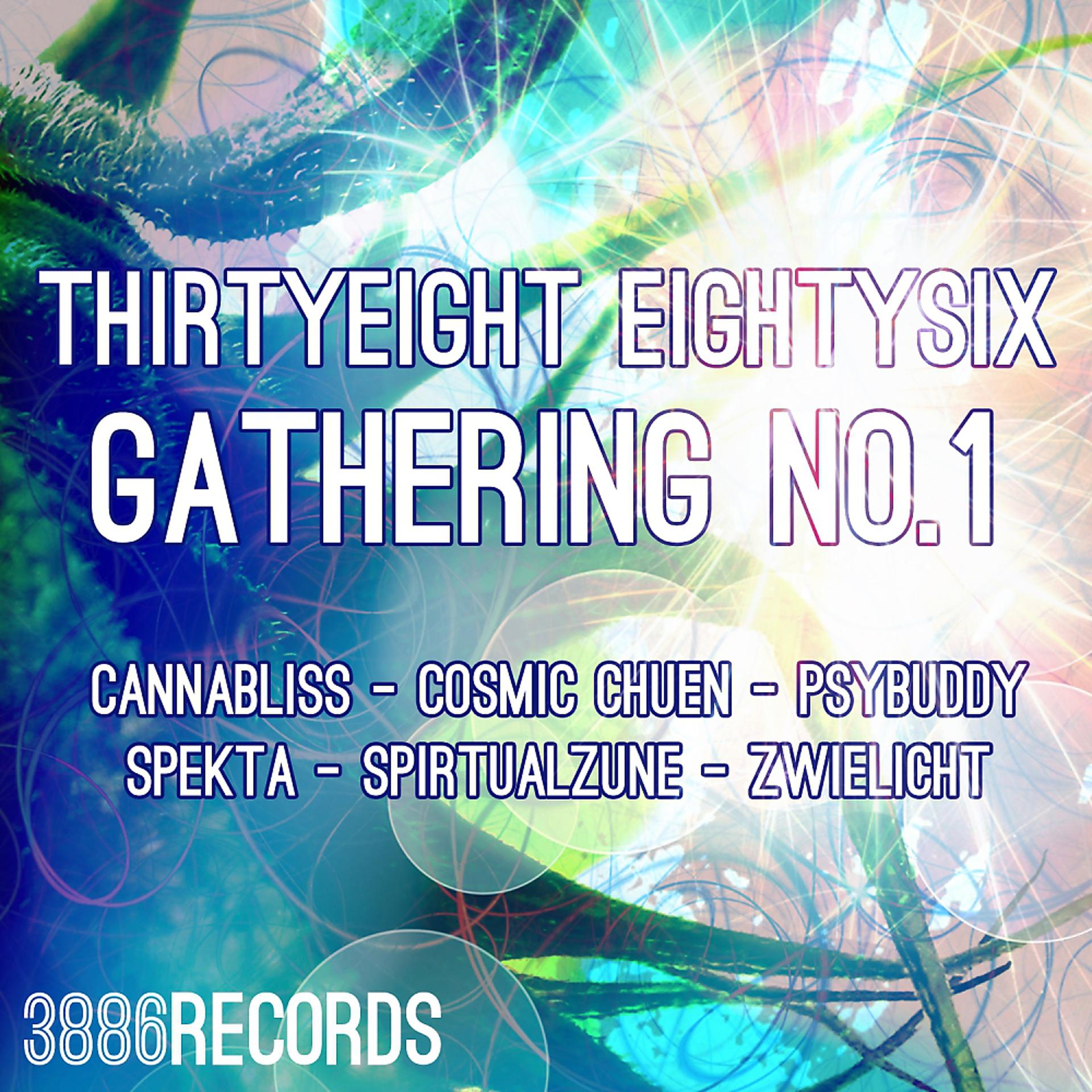 Постер альбома Thirtyeight Eightysix Gathering No.1