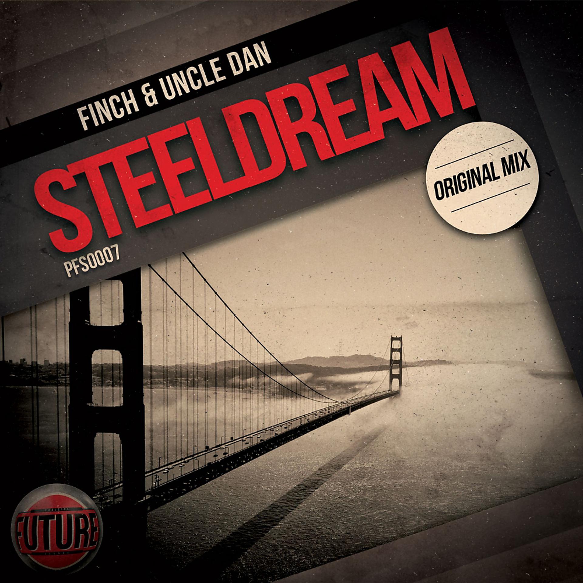 Постер альбома Steeldream